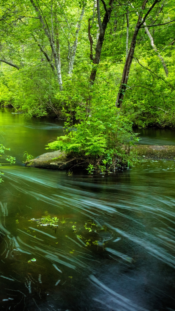 Скачать картинку Природа, Река, Зелень, Земля/природа в телефон бесплатно.