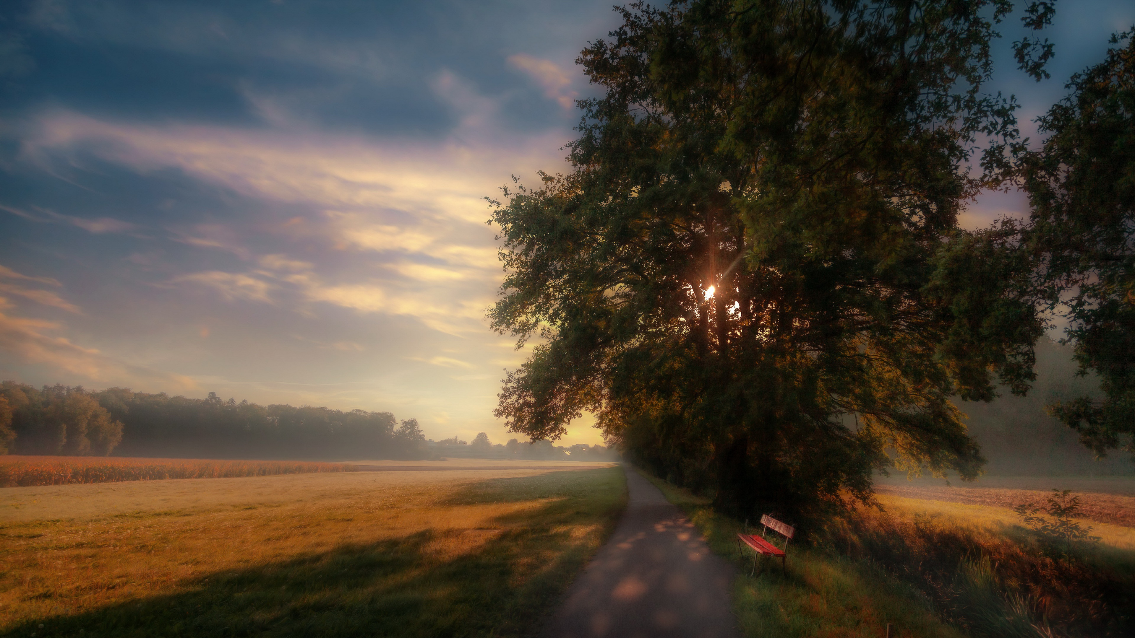 Download mobile wallpaper Road, Fog, Morning, Bench, Man Made for free.