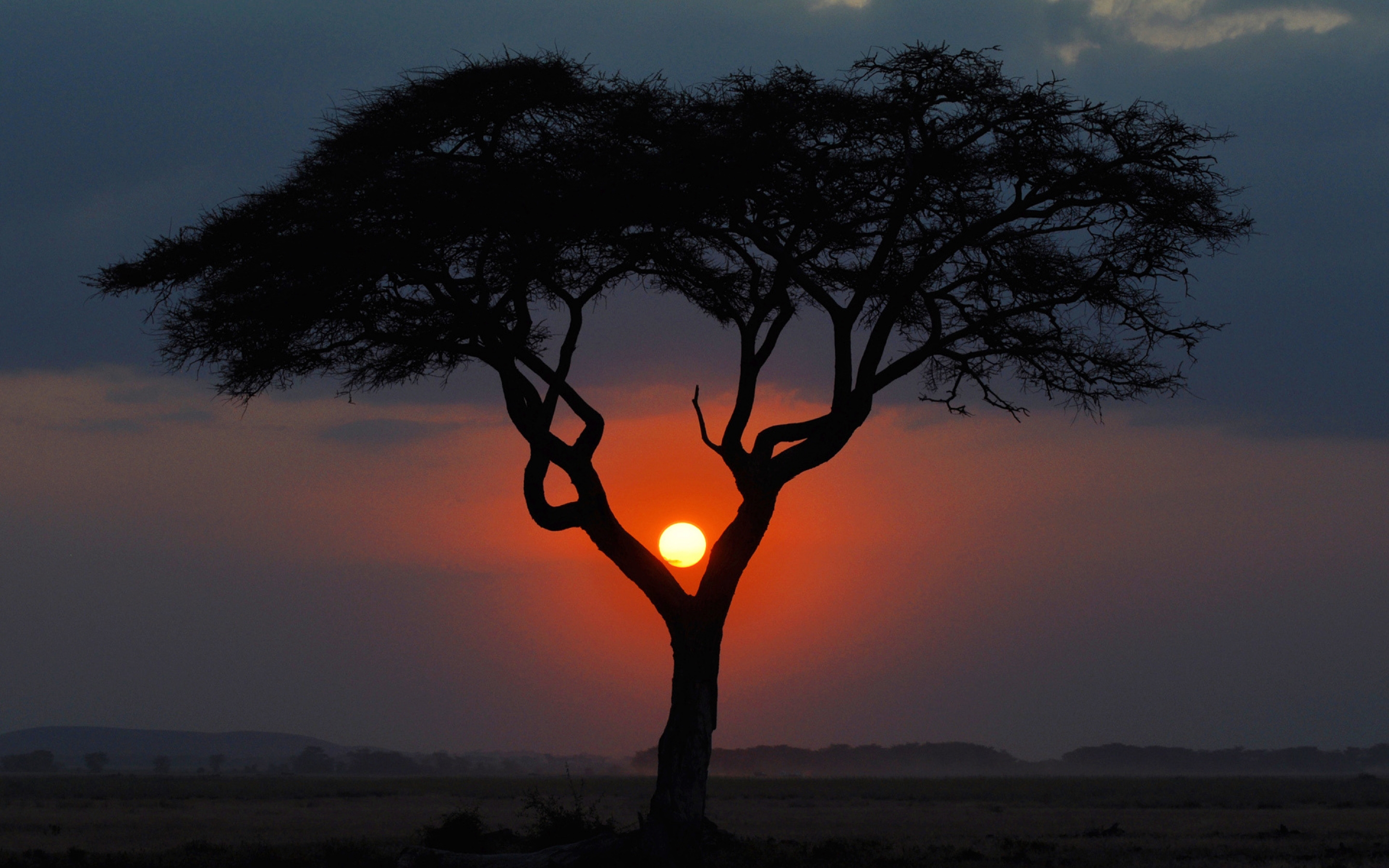 Скачать картинку Закат Солнца, Земля/природа в телефон бесплатно.