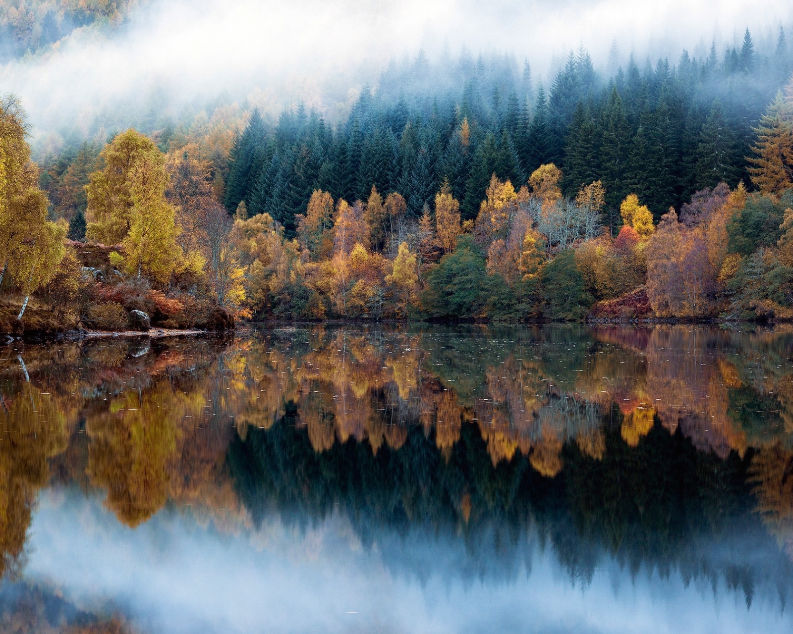 Handy-Wallpaper Herbst, Wald, Nebel, Erde/natur, Spiegelung, Betrachtung kostenlos herunterladen.