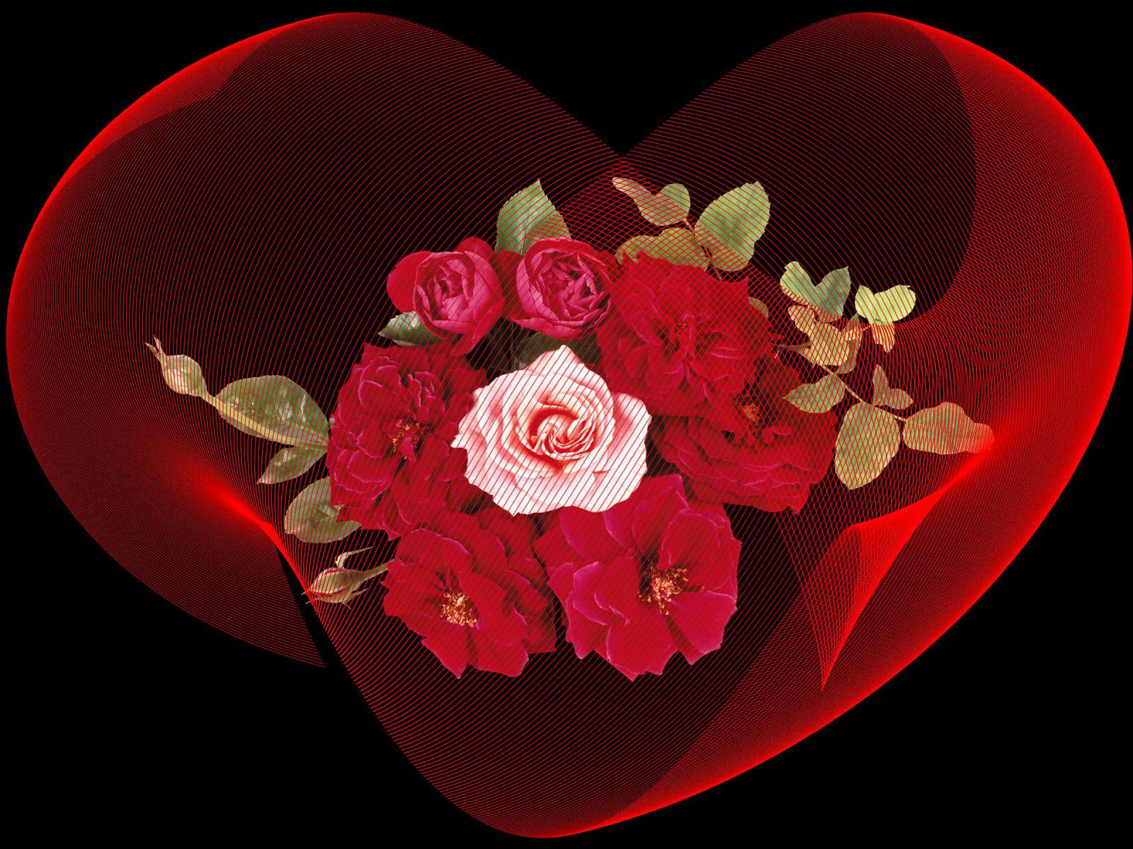 Free download wallpaper Roses, Petals, Background, Love on your PC desktop