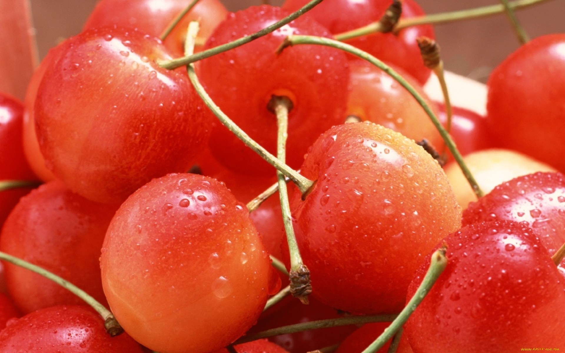 Descarga gratis la imagen Frutas, Cereza, Alimento en el escritorio de tu PC