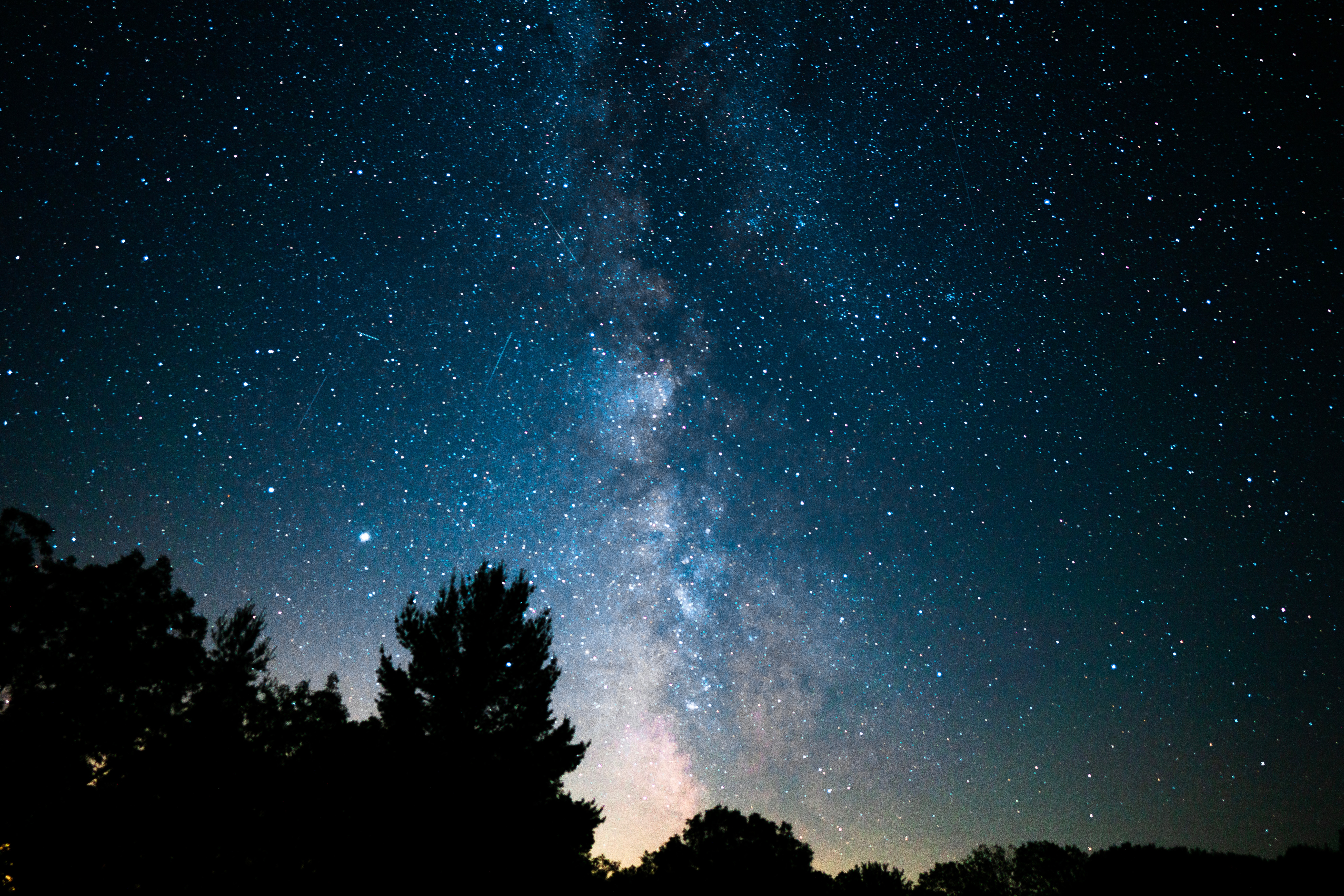 nebula, nature, trees, stars, bush, starry sky 1080p