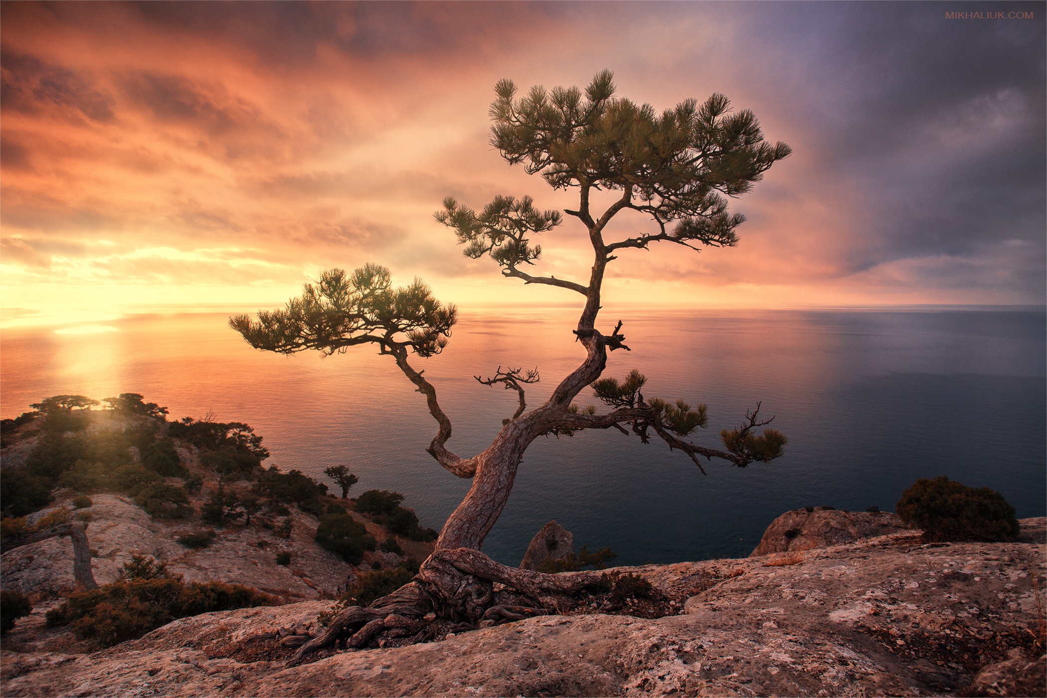 Laden Sie das Natur, Horizont, Baum, Ozean, Erde/natur-Bild kostenlos auf Ihren PC-Desktop herunter