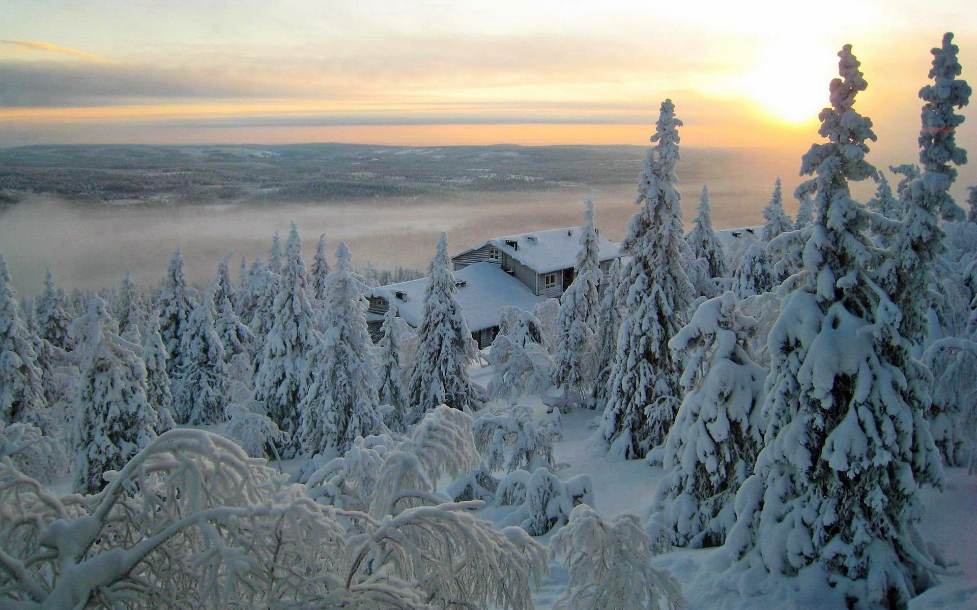 PCデスクトップに冬, 家, 木, 雪, 森, 写真撮影画像を無料でダウンロード