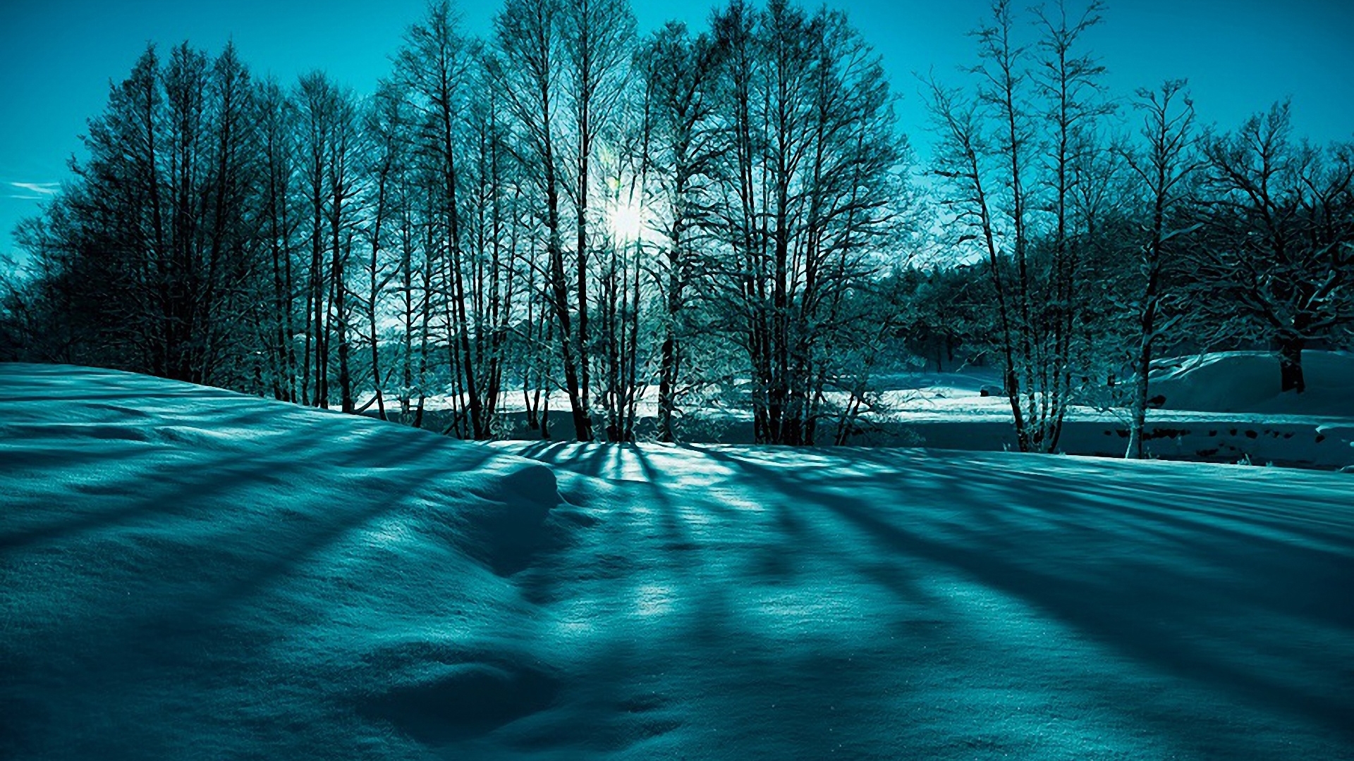 Laden Sie das Baum, Erde/natur-Bild kostenlos auf Ihren PC-Desktop herunter