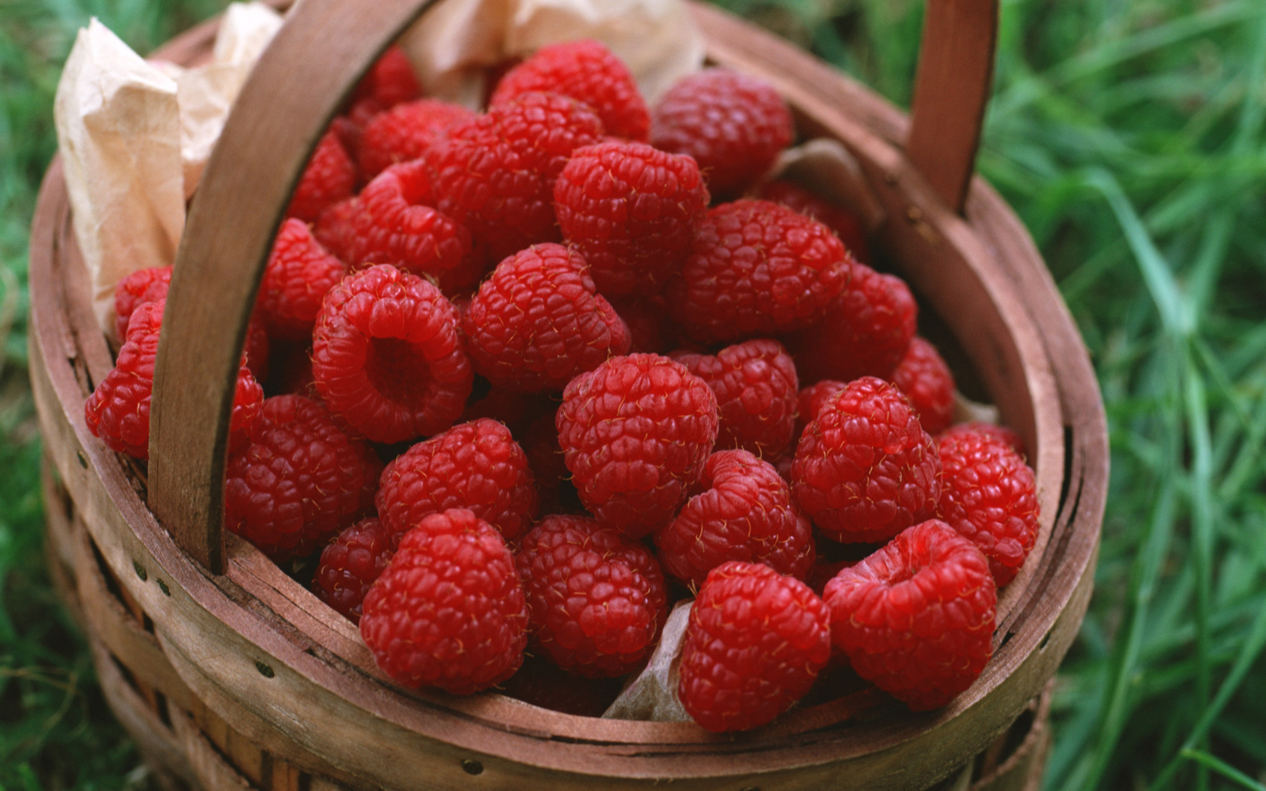 Download mobile wallpaper Food, Raspberry for free.