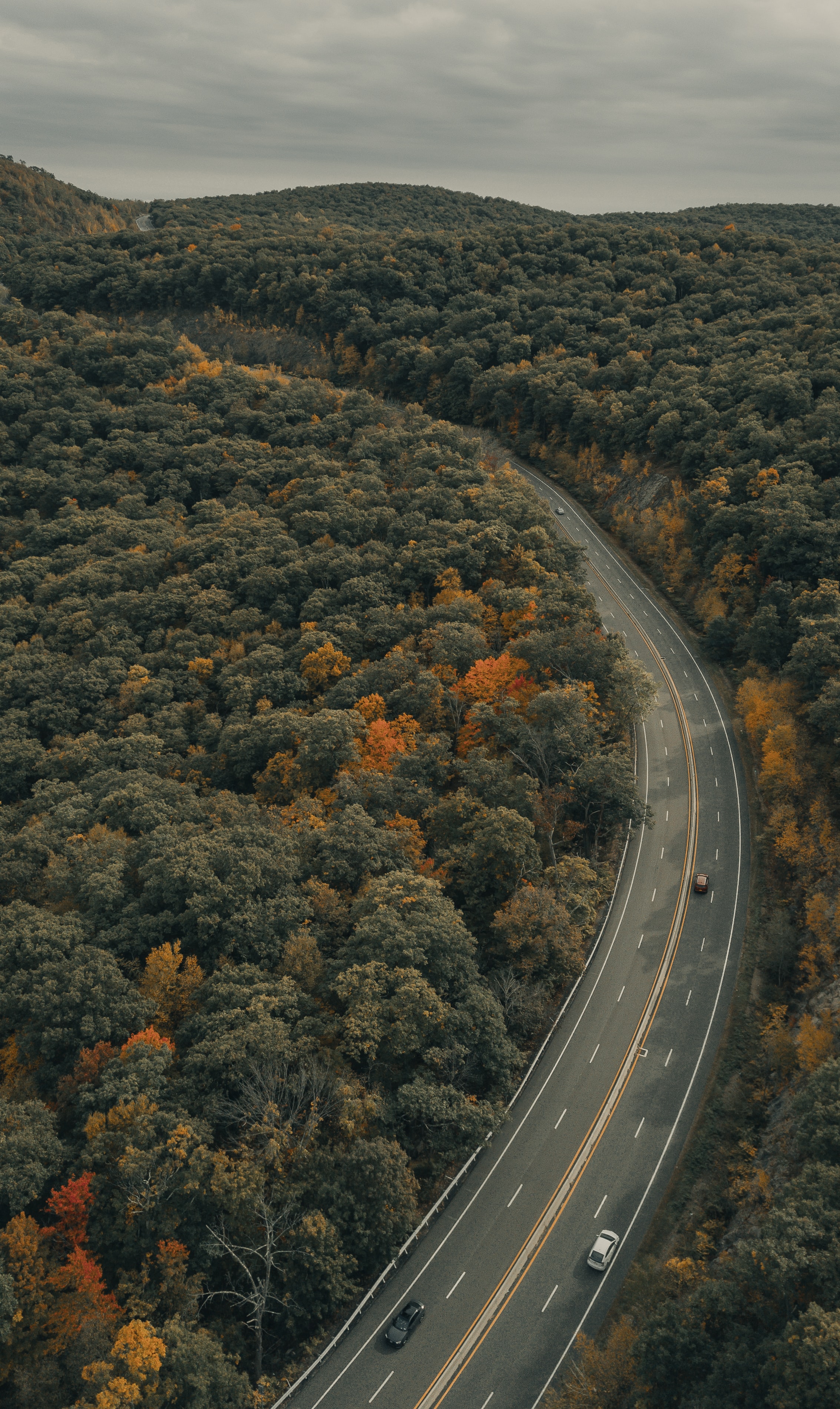 Download mobile wallpaper Trees, Road, Markup, Car, Machine, Nature, Autumn for free.