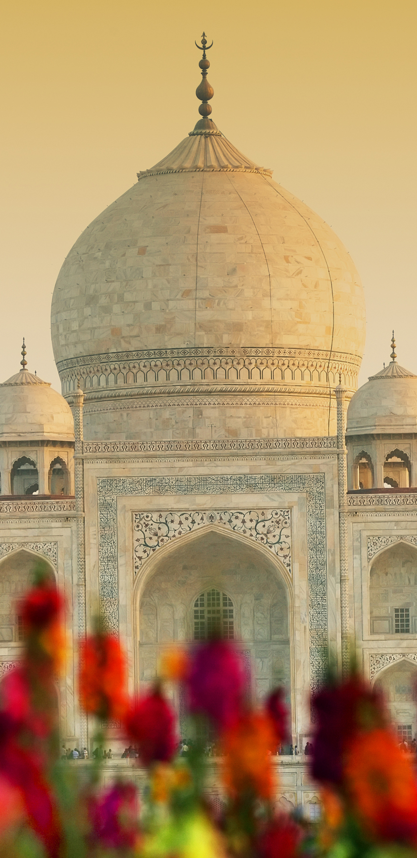 Téléchargez des papiers peints mobile Taj Mahal, Monument, Dôme, Inde, Architecture, Les Monuments, Construction Humaine gratuitement.