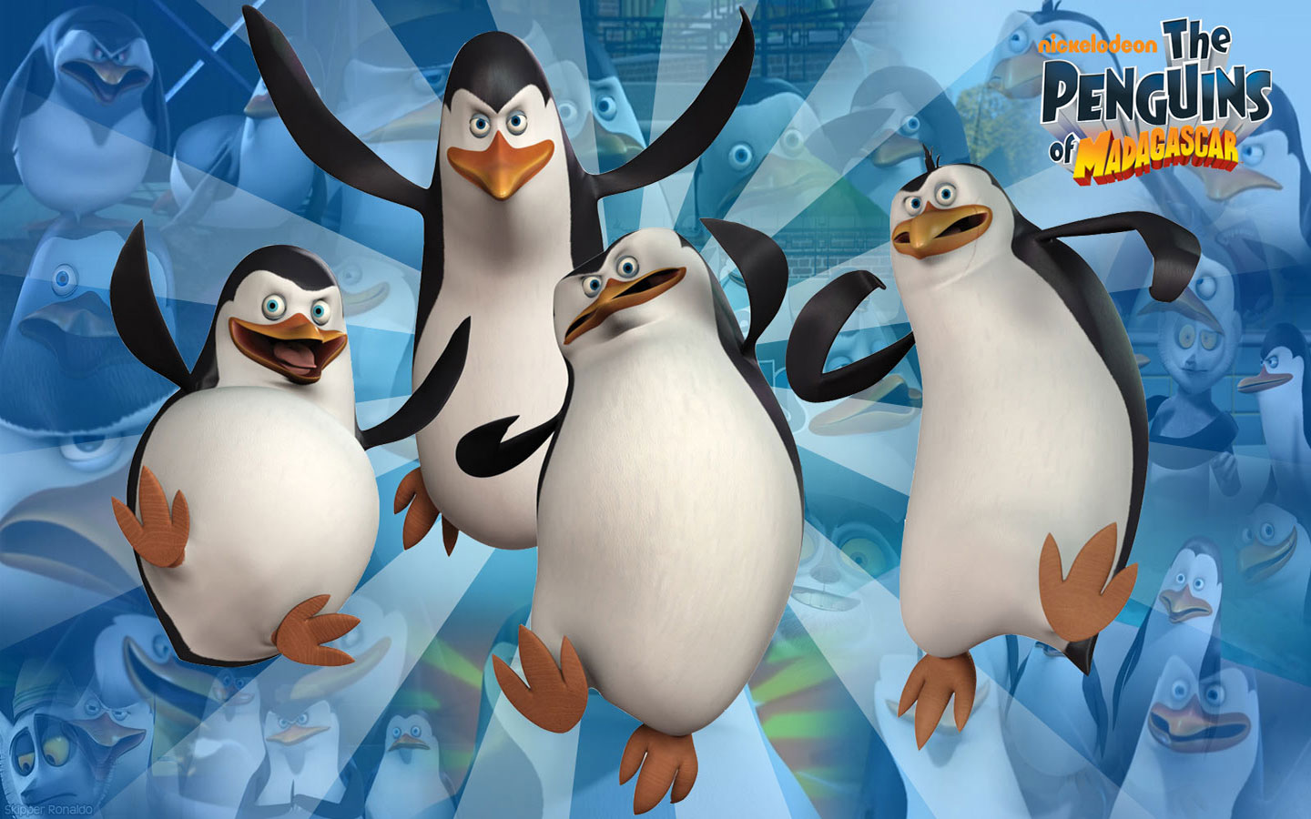 626043 télécharger le fond d'écran séries tv, les pingouins de madagascar, madagascar (film) - économiseurs d'écran et images gratuitement
