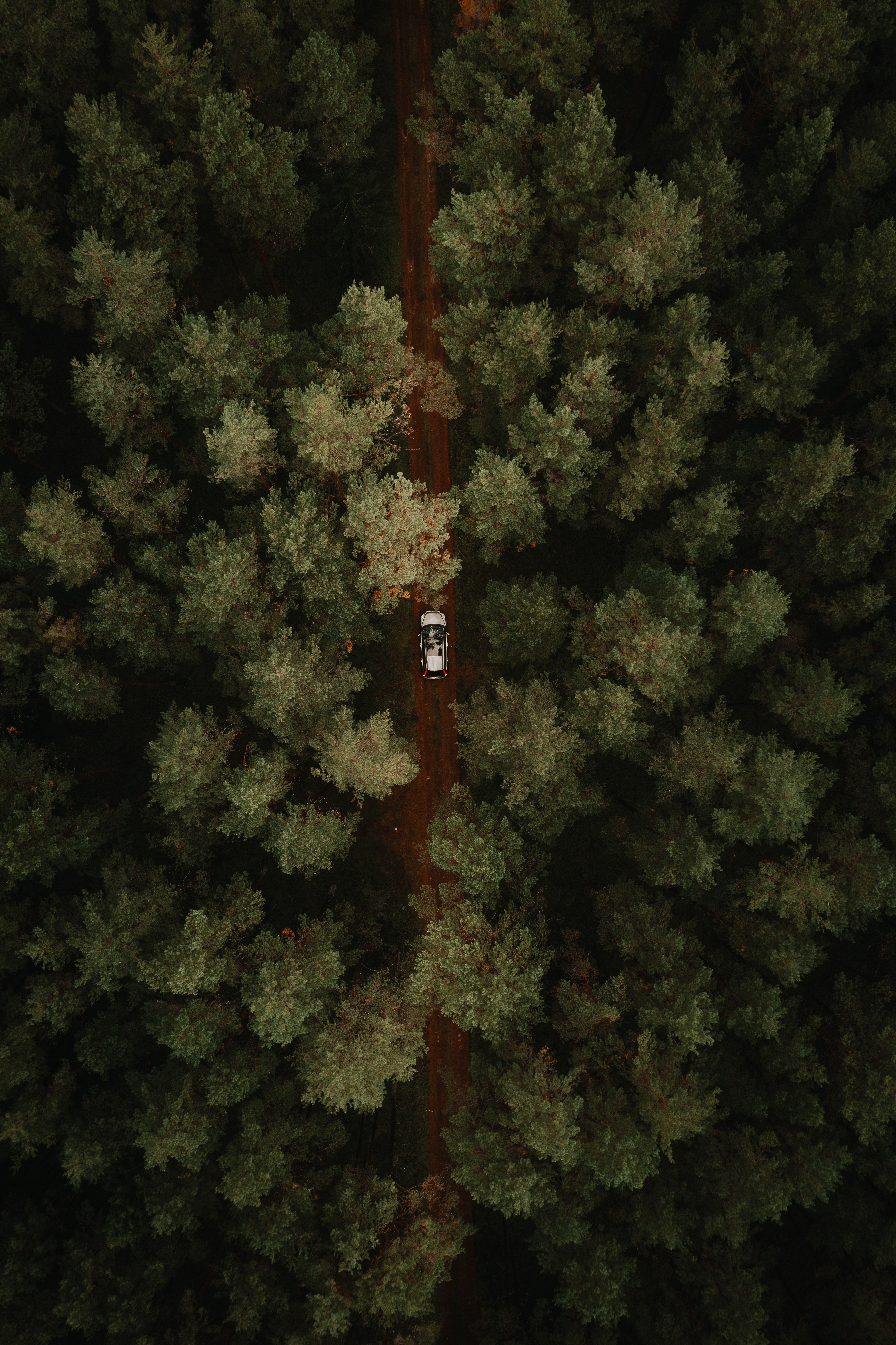 Descarga gratuita de fondo de pantalla para móvil de Vista Desde Arriba, Camino, Un Coche, Árboles, Bosque, Naturaleza, Máquina.