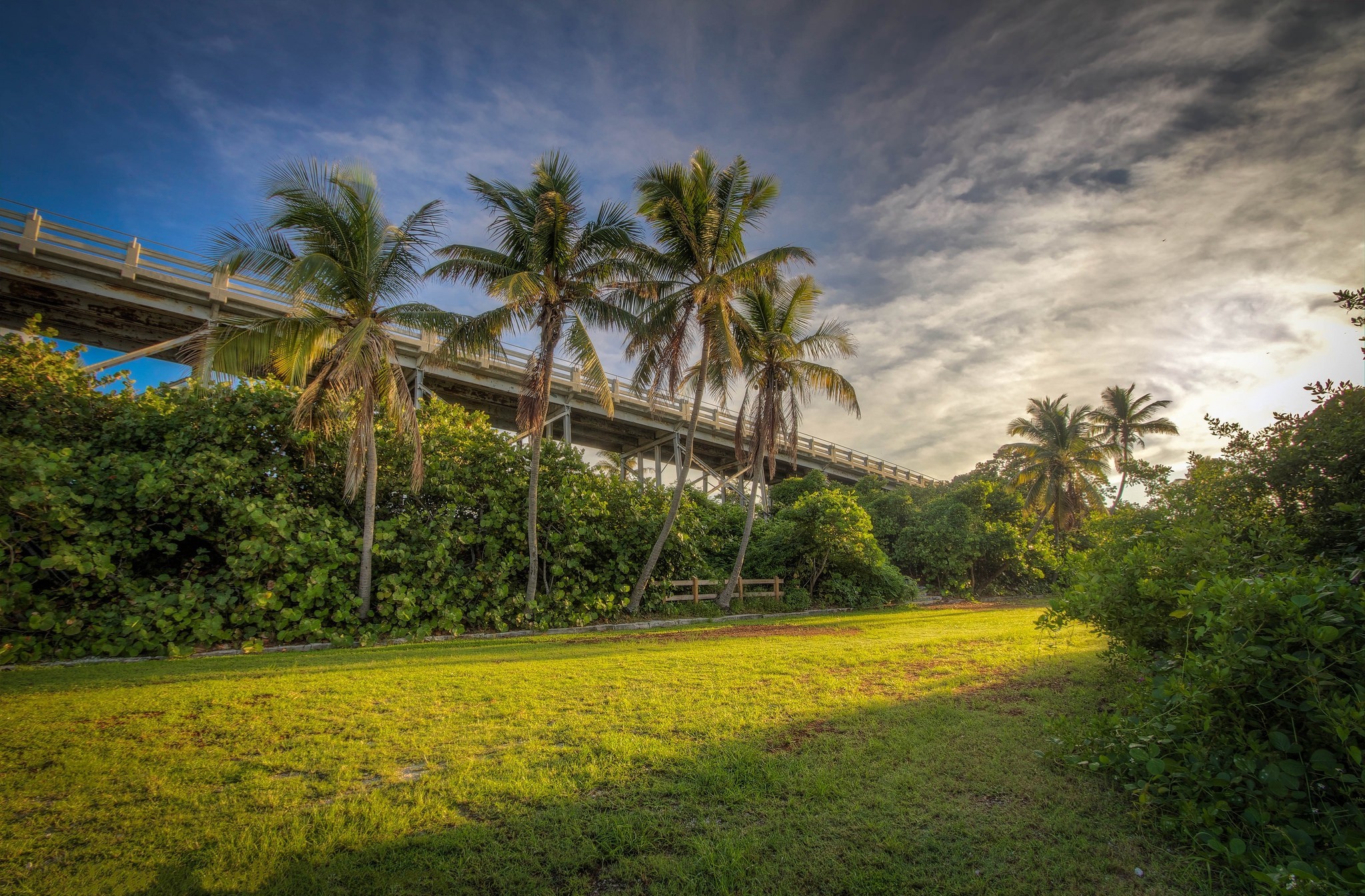 Download mobile wallpaper Bridge, Bridges, Palm Tree, Tropics, Man Made for free.