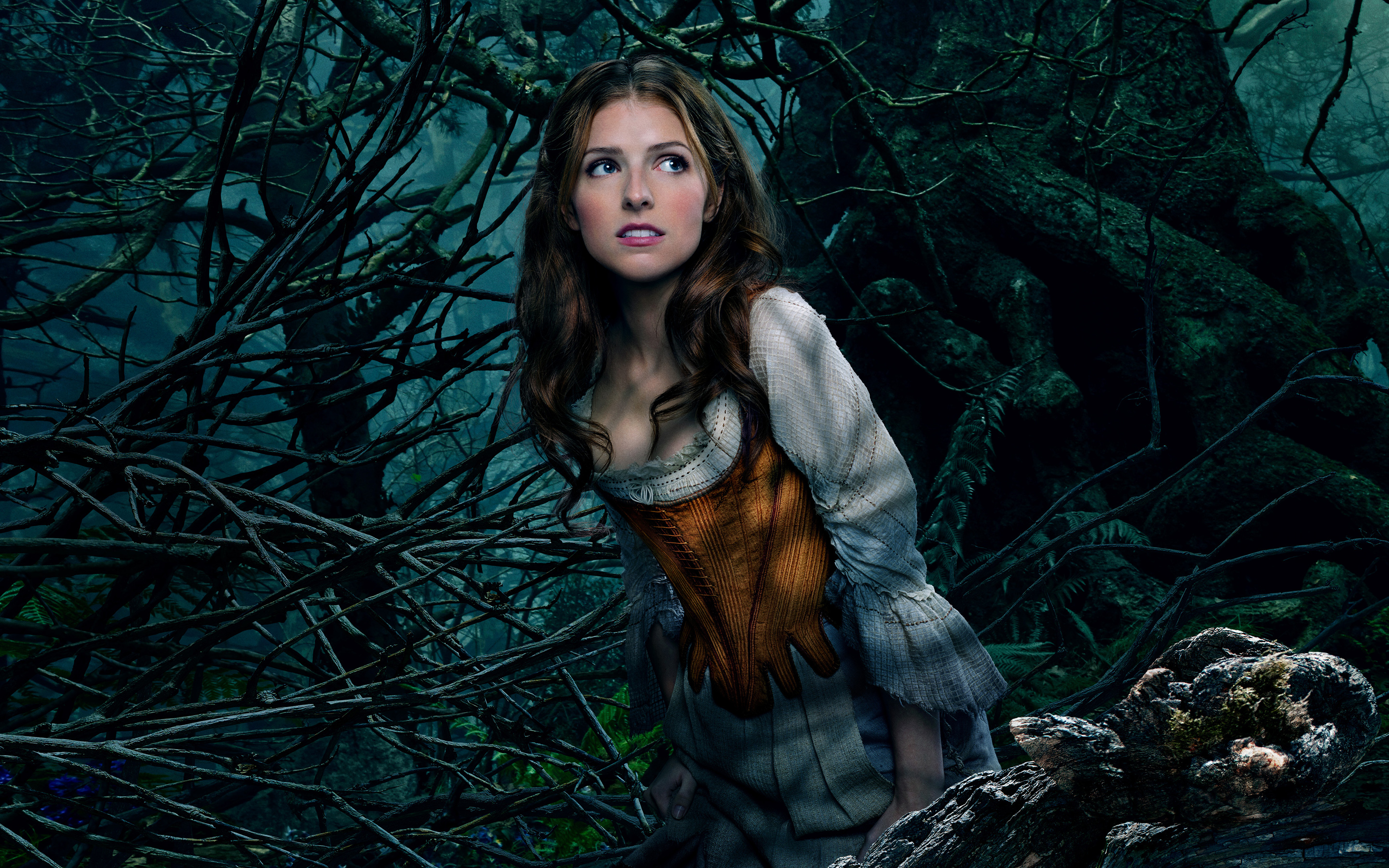 movie, into the woods (2014), anna kendrick