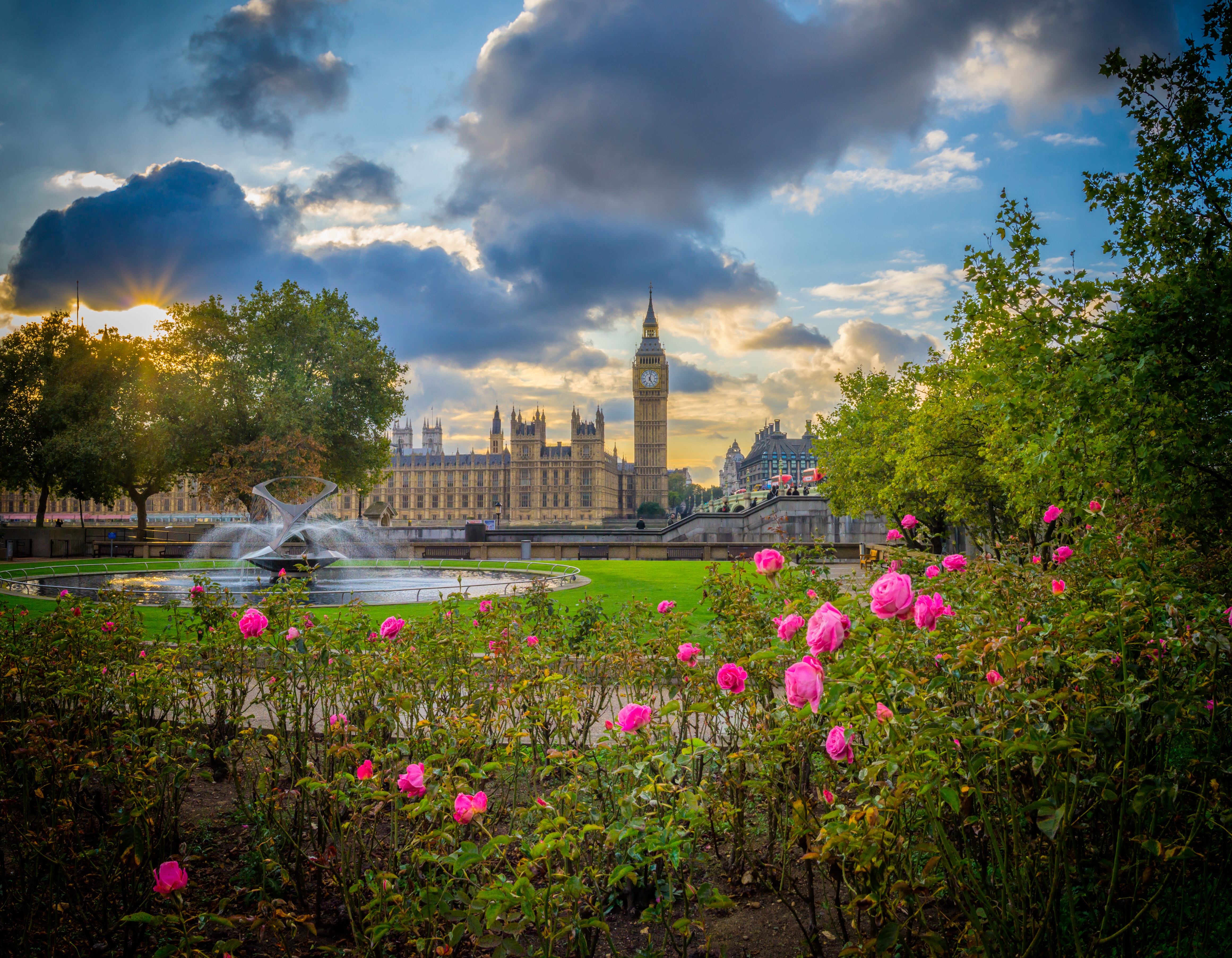palace of westminster, london, england, park, palaces, man made, big ben, fountain, rose