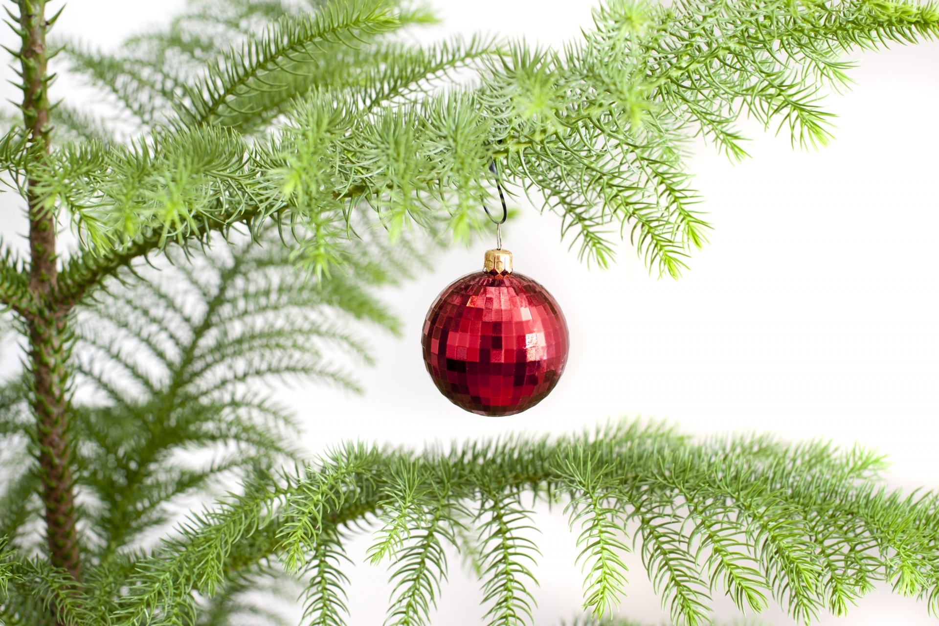 Free download wallpaper Christmas, Holiday, Branch, Decoration, Bauble on your PC desktop