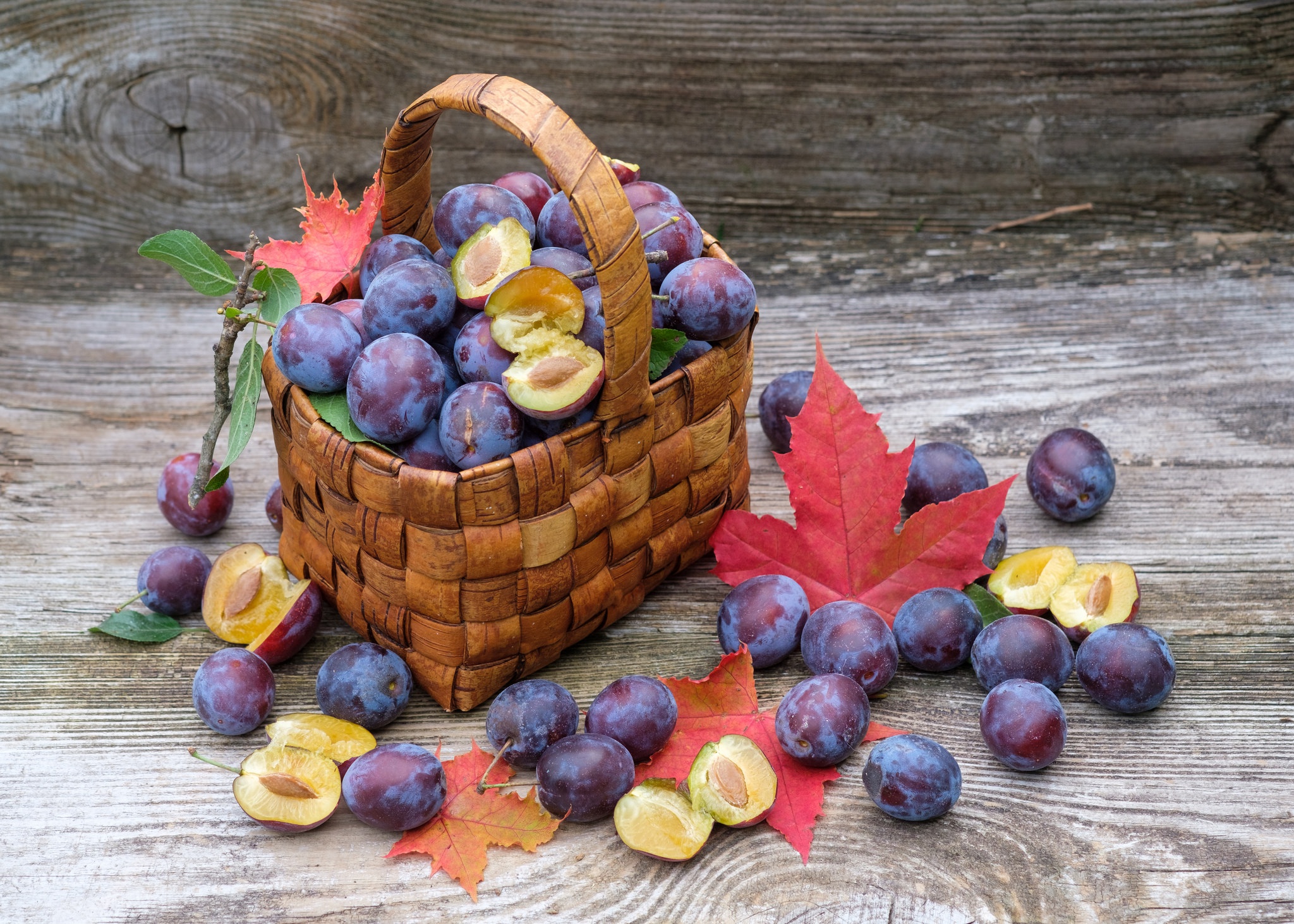 food, plum, basket, fruit, still life