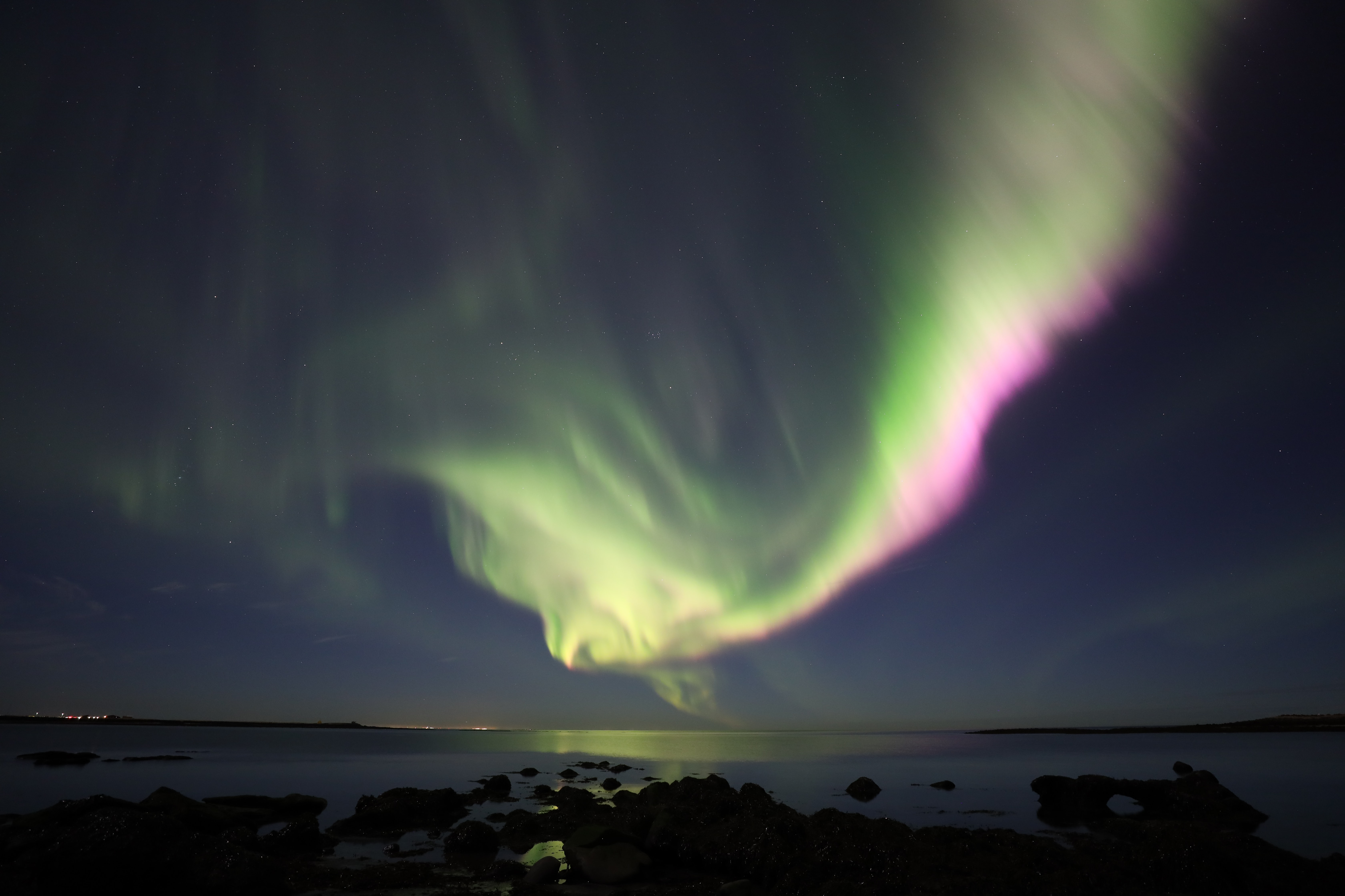 aurora borealis, night, nature, sky, ocean, northern lights High Definition image