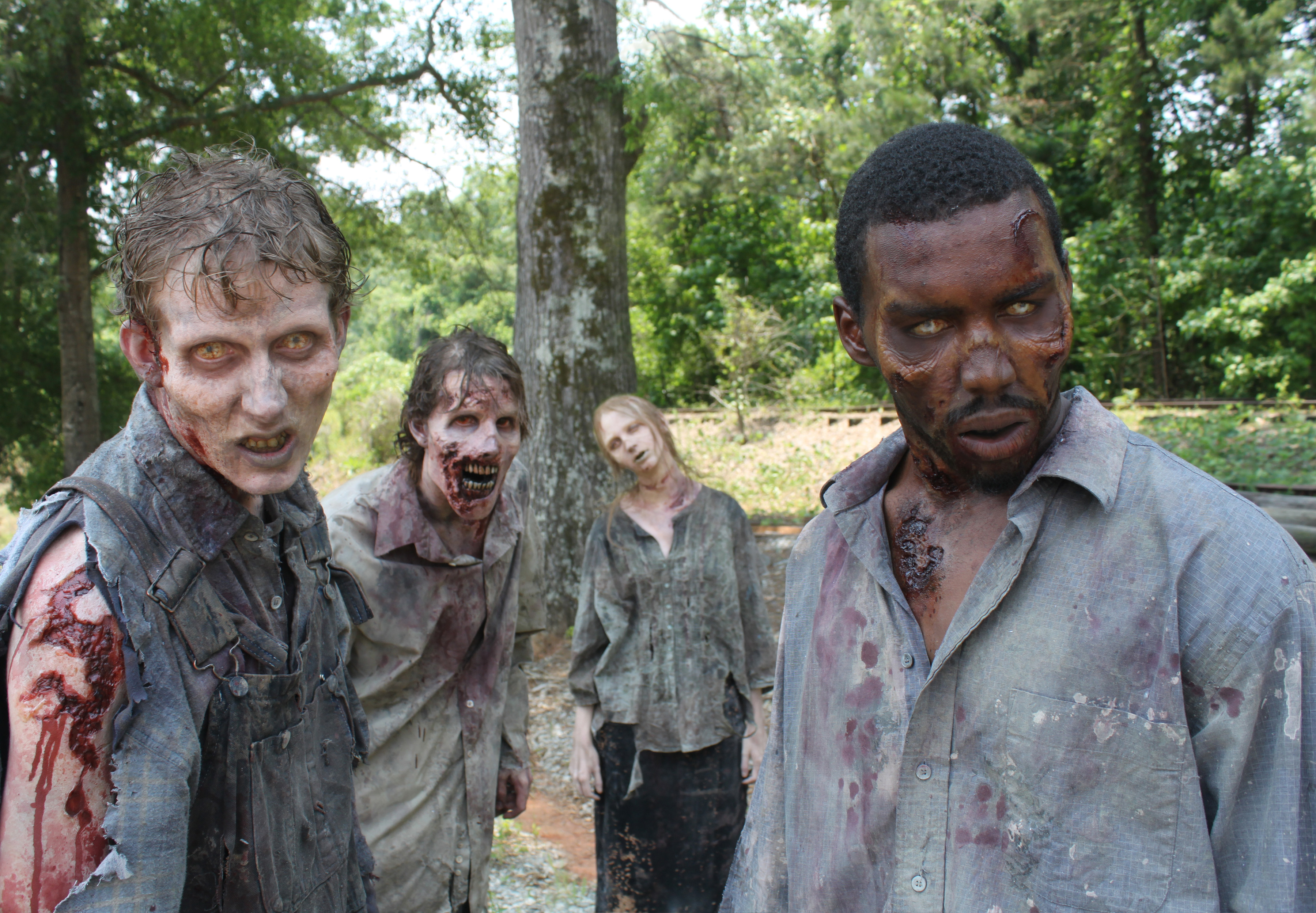 Baixar papel de parede para celular de Programa De Tv, Zumbi, The Walking Dead gratuito.