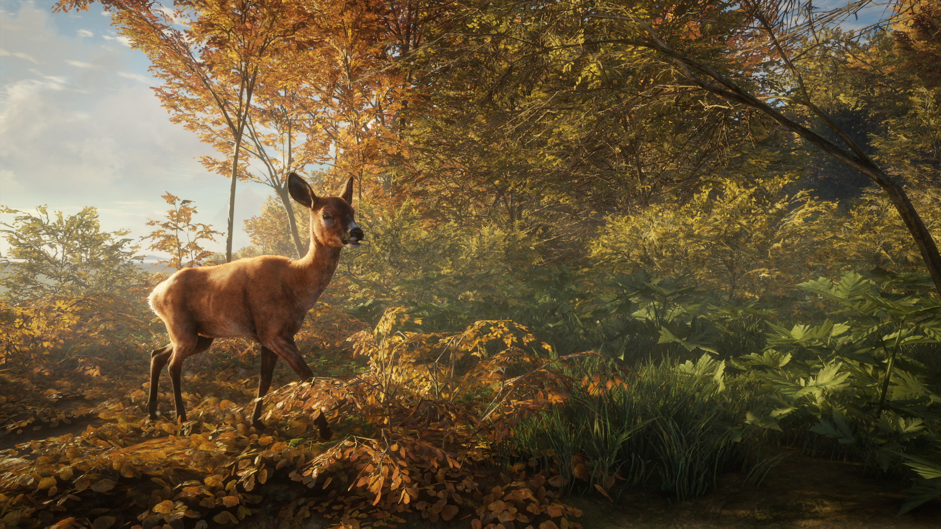 video game, thehunter: call of the wild, deer