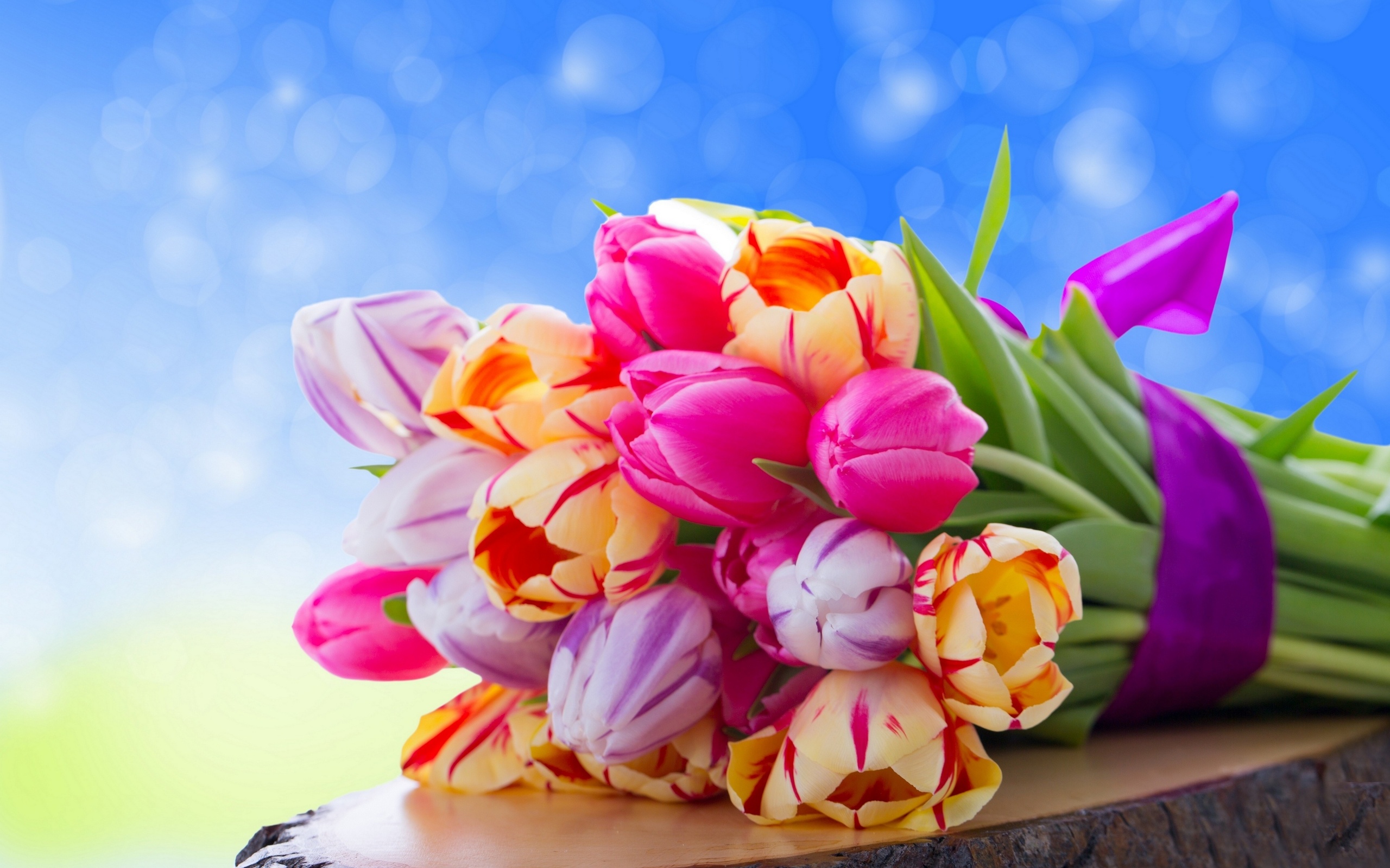 Téléchargez des papiers peints mobile Fleur, Tulipe, Construction Humaine gratuitement.