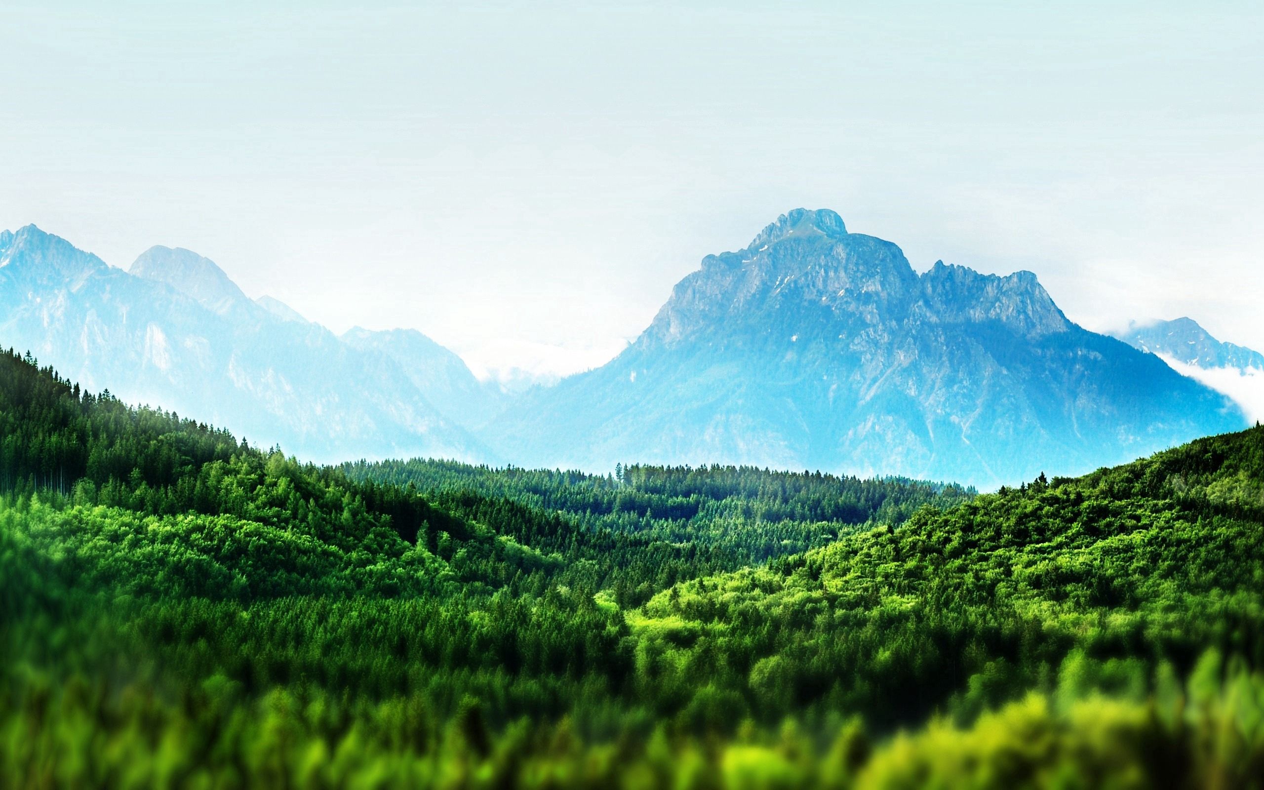 Free download wallpaper Nature, Trees, Fog, Mountains on your PC desktop
