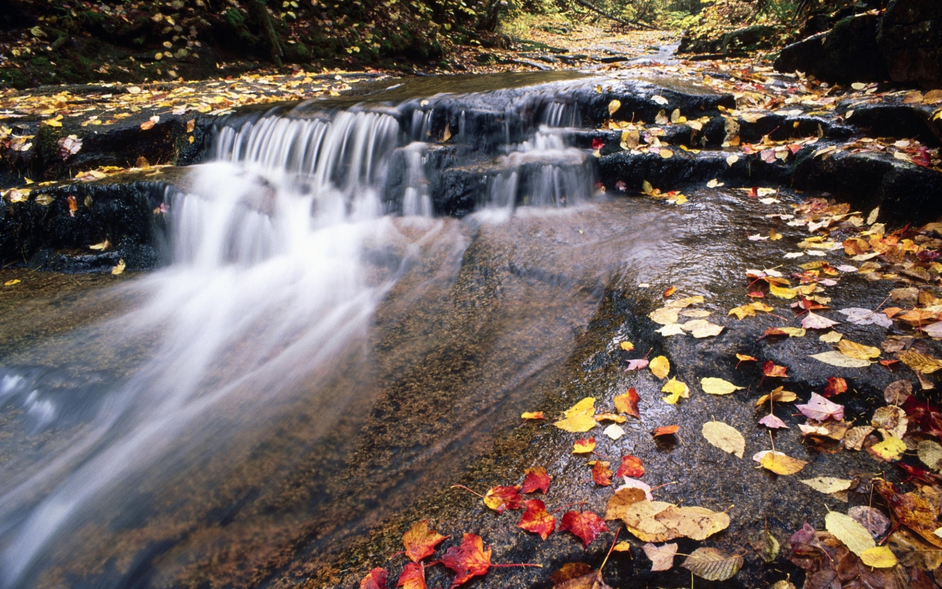 Скачать картинку Река, Пейзаж, Листья, Осень в телефон бесплатно.