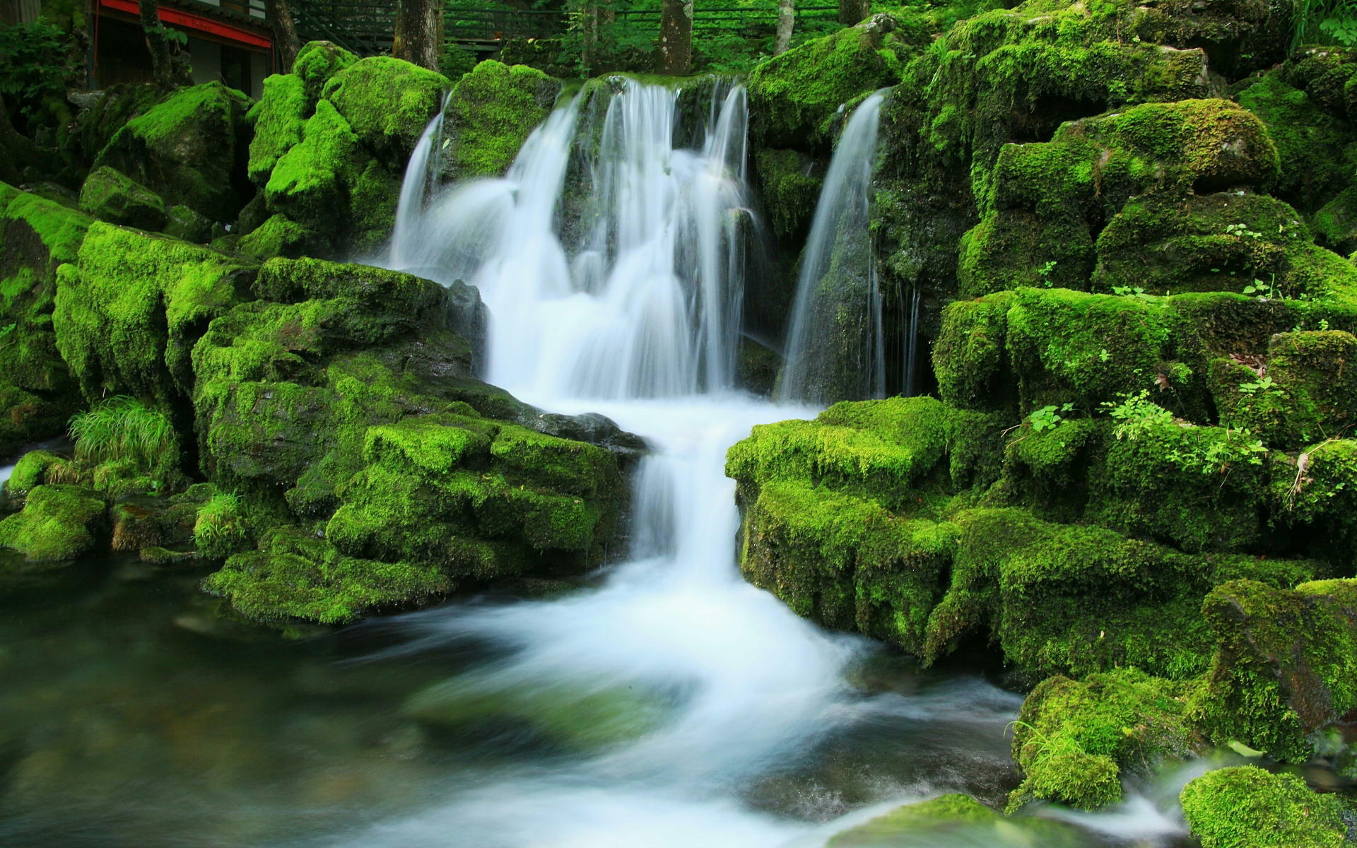 Download mobile wallpaper Waterfalls, Waterfall, Earth, Moss, Stream, Greenery for free.