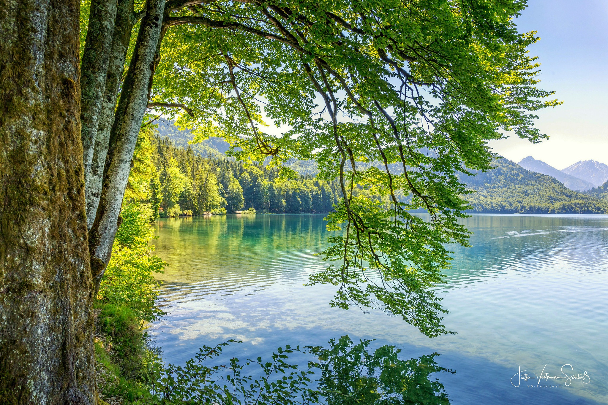 PCデスクトップに湖, 山, 森, 地球画像を無料でダウンロード
