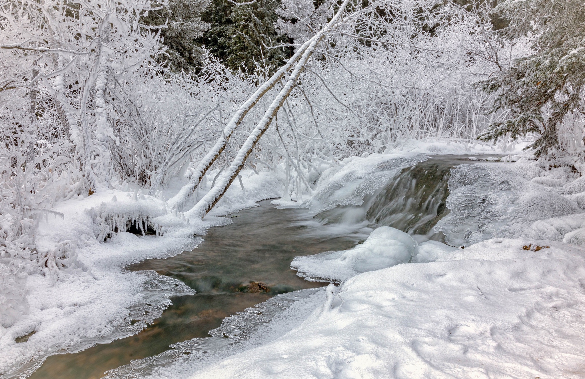 Download mobile wallpaper Winter, Nature, Ice, Snow, Earth, Stream, Frozen for free.