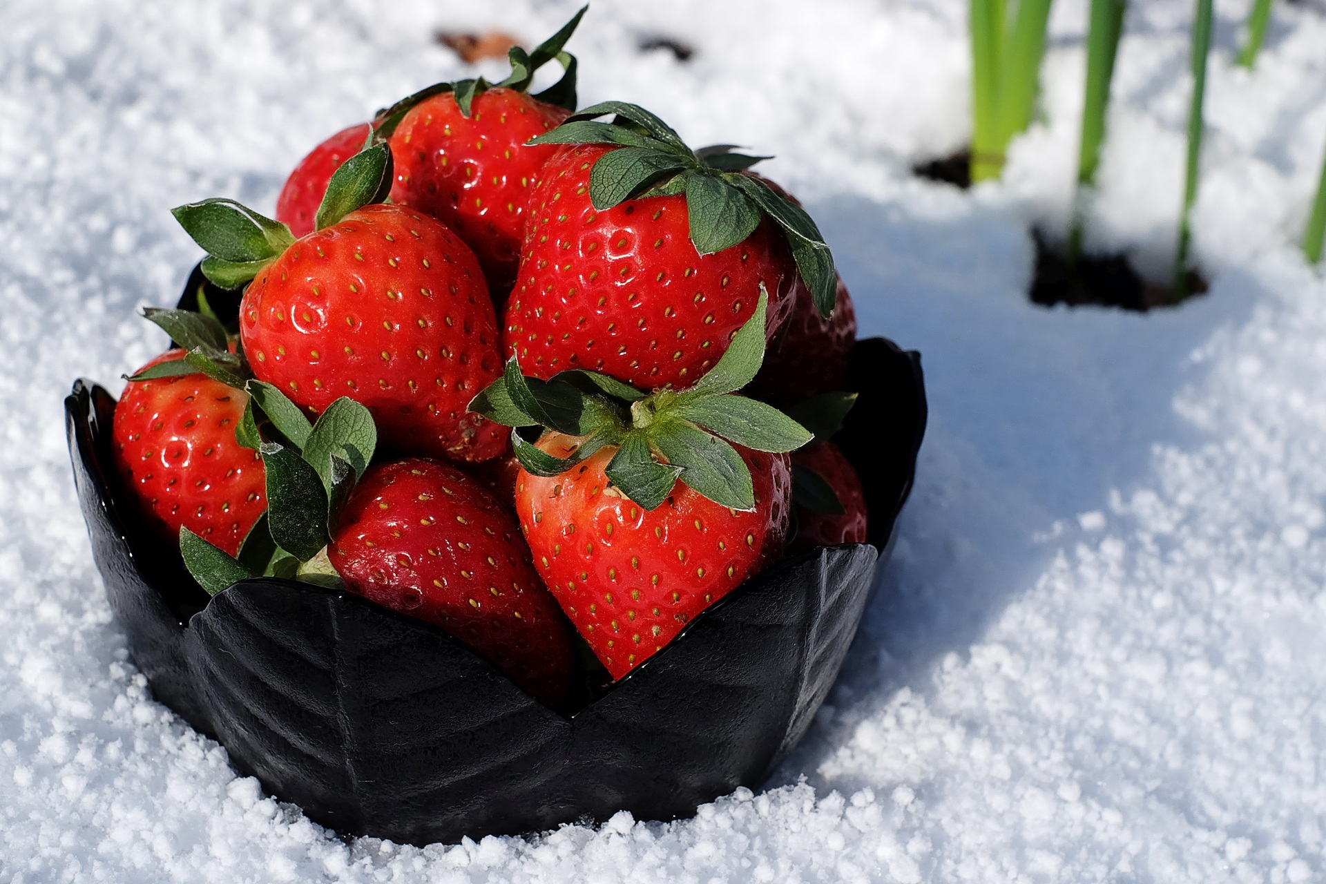 Handy-Wallpaper Erdbeere, Schnee, Frucht, Nahrungsmittel, Früchte kostenlos herunterladen.