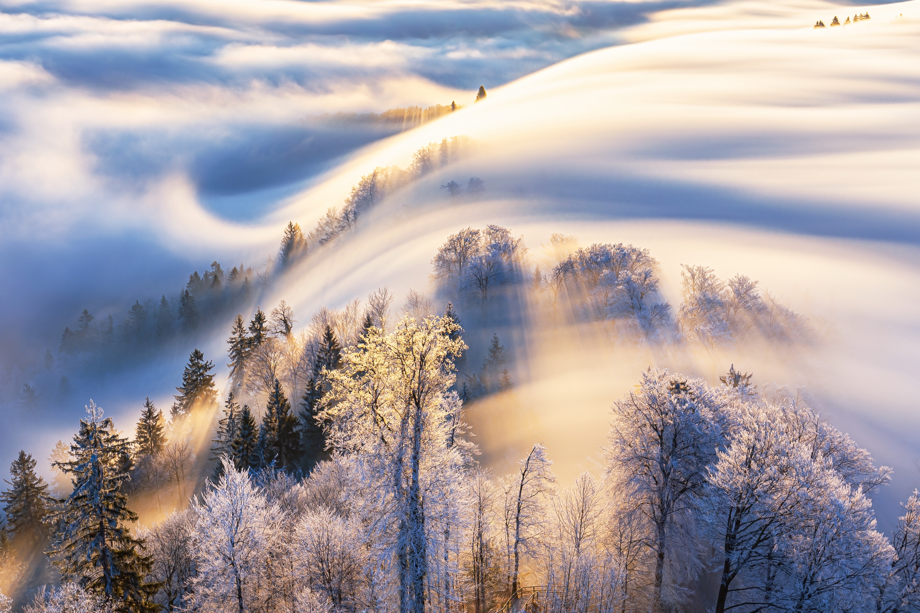 Download mobile wallpaper Winter, Nature, Fog, Earth, Morning for free.