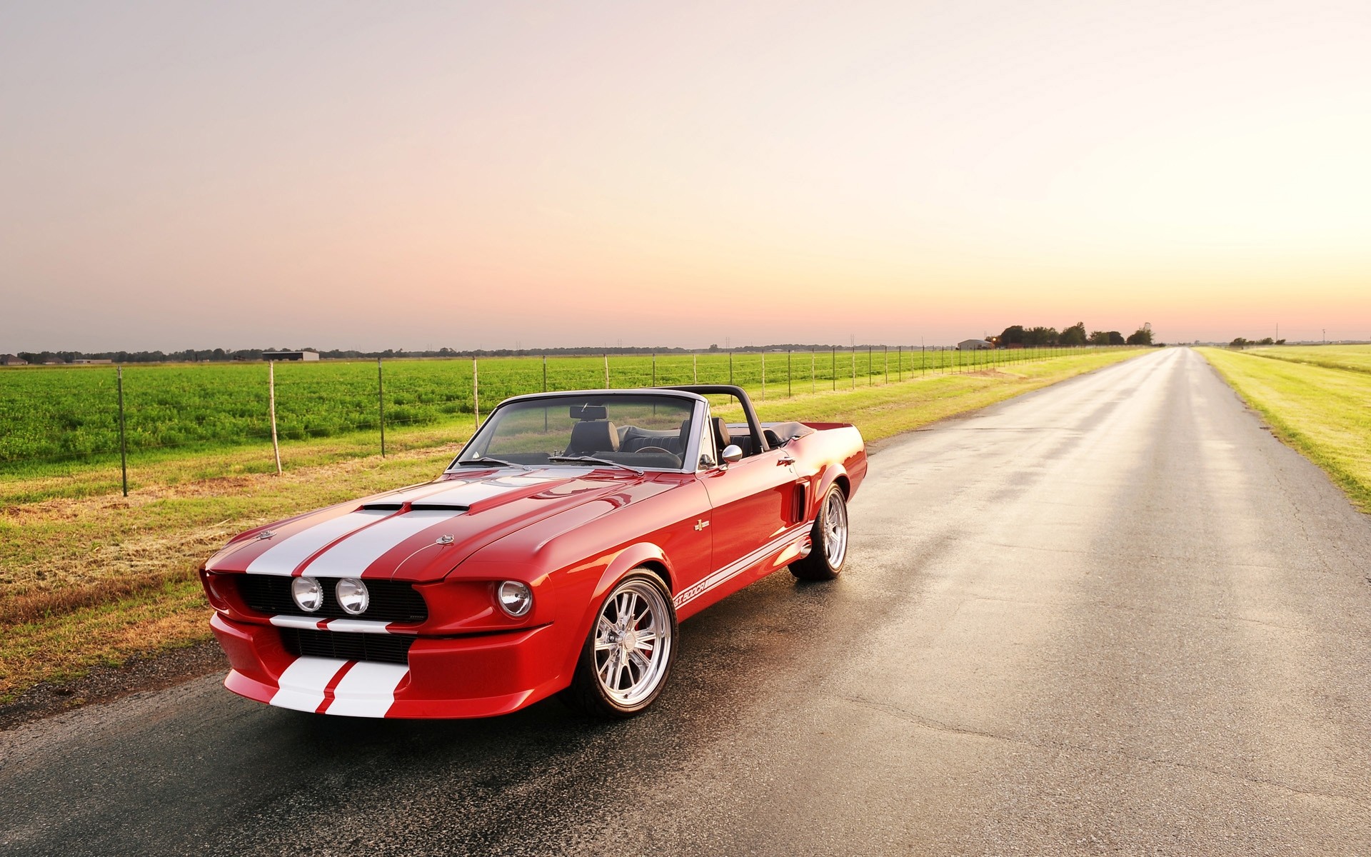 Скачати мобільні шпалери Ford Mustang, Транспортні Засоби безкоштовно.