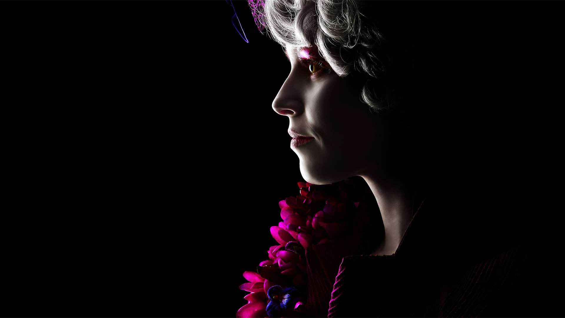 Free download wallpaper Movie, The Hunger Games on your PC desktop