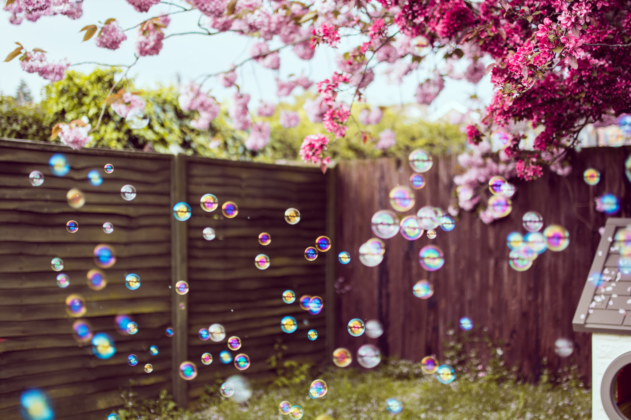Free download wallpaper Spring, Photography, Bubble, Blossom on your PC desktop