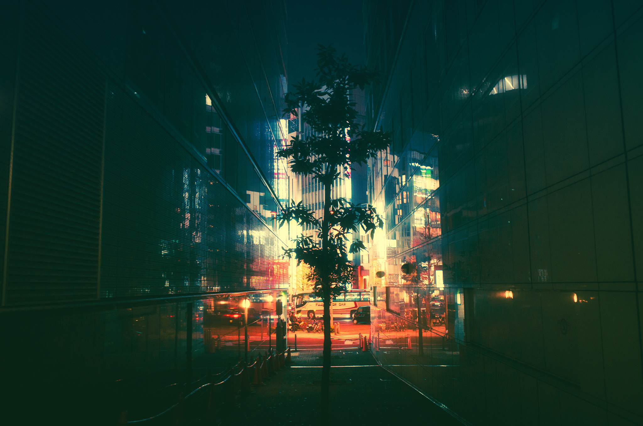 Free download wallpaper Cities, Night, City, Tree, Neon, Japan, Man Made on your PC desktop