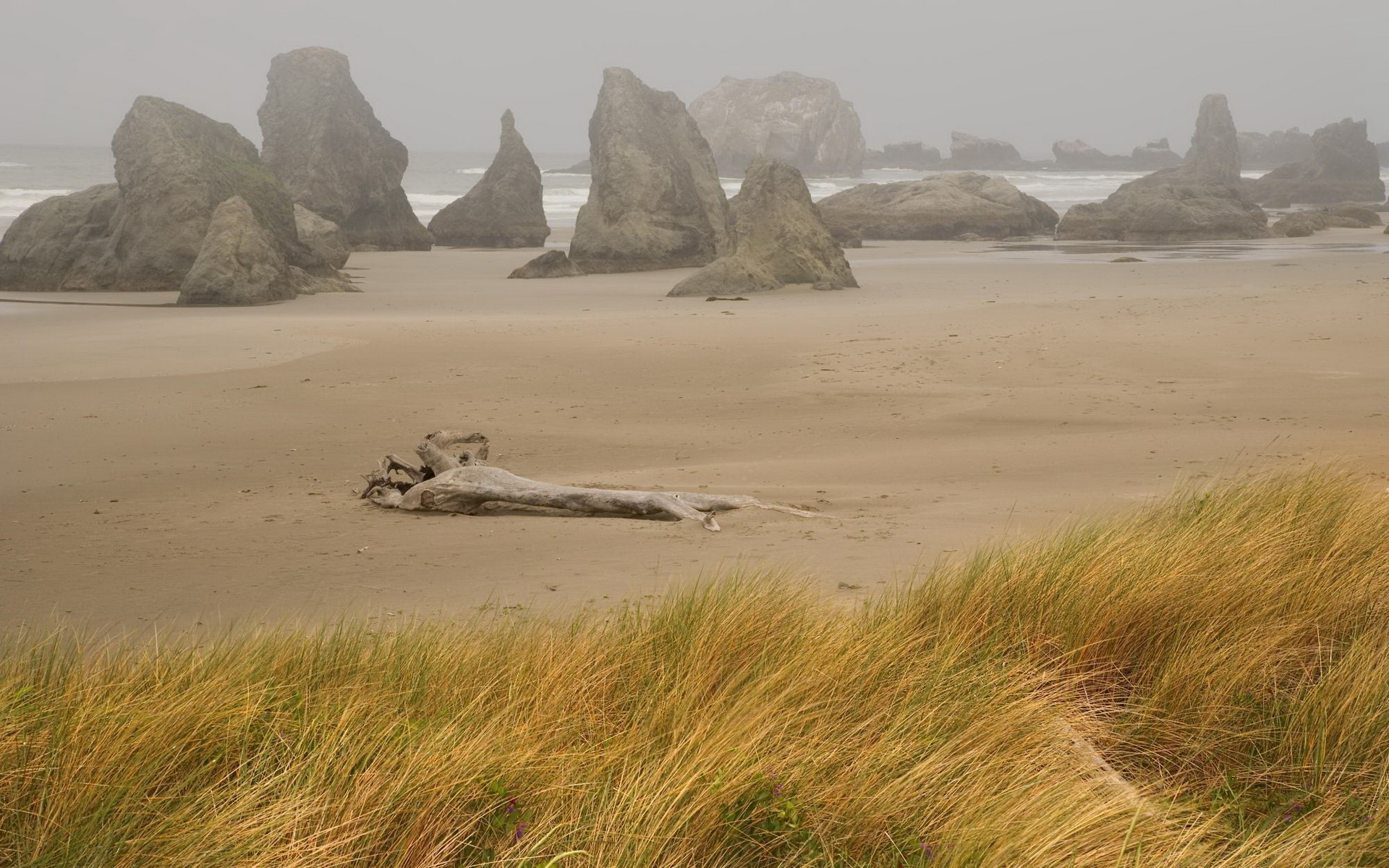 Téléchargez gratuitement l'image Plage, Terre/nature sur le bureau de votre PC