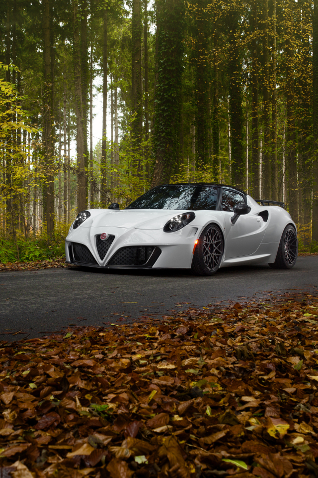 Download mobile wallpaper Alfa Romeo, Car, Alfa Romeo 4C, Vehicle, Vehicles, White Car for free.