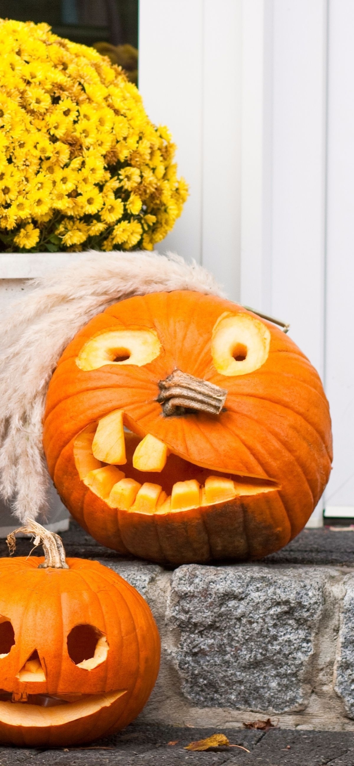 Descarga gratuita de fondo de pantalla para móvil de Calabaza, Día Festivo, Víspera De Todos Los Santos.