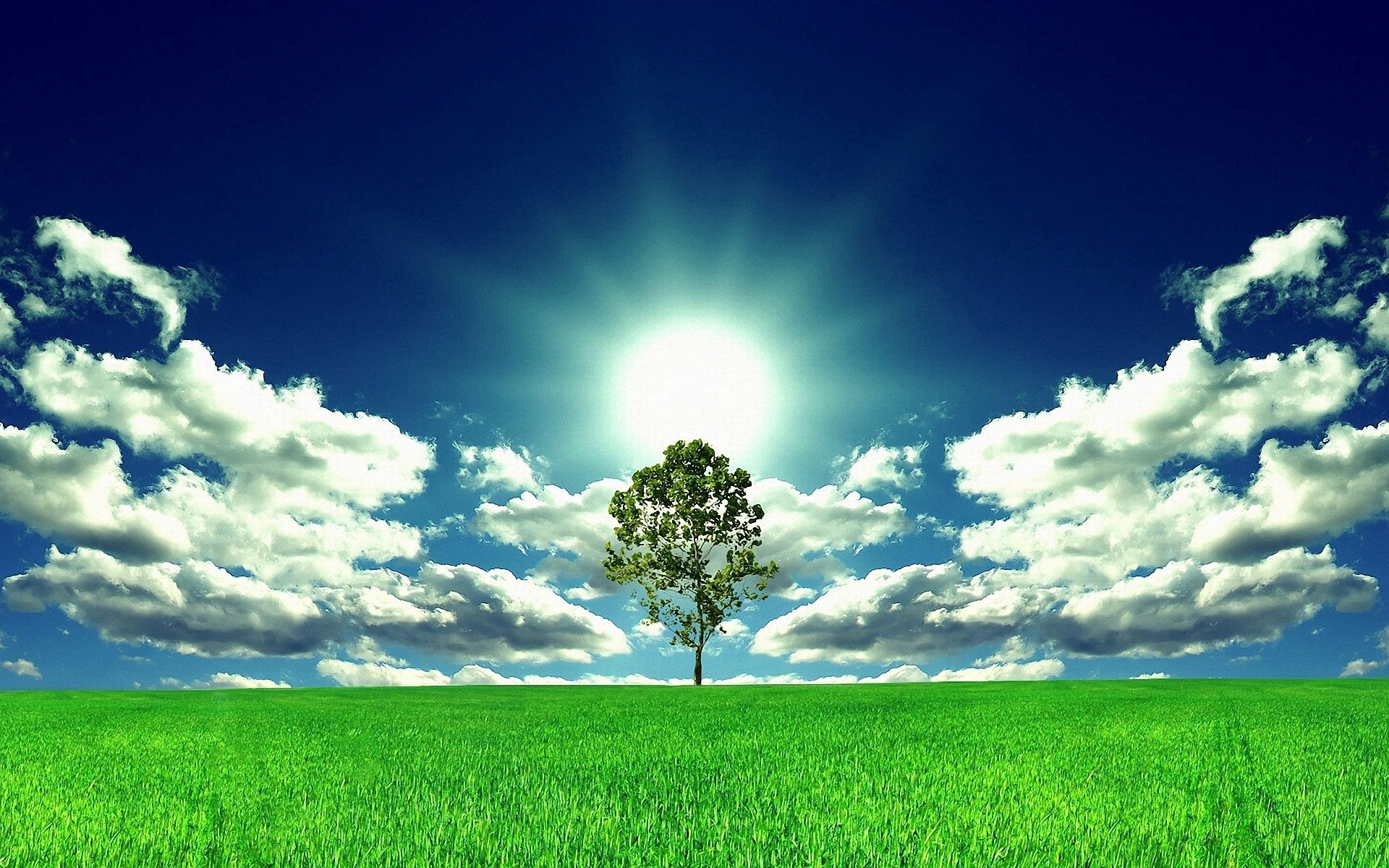 Скачать обои бесплатно Дерево, Природа, Солнце, Поляна картинка на рабочий стол ПК