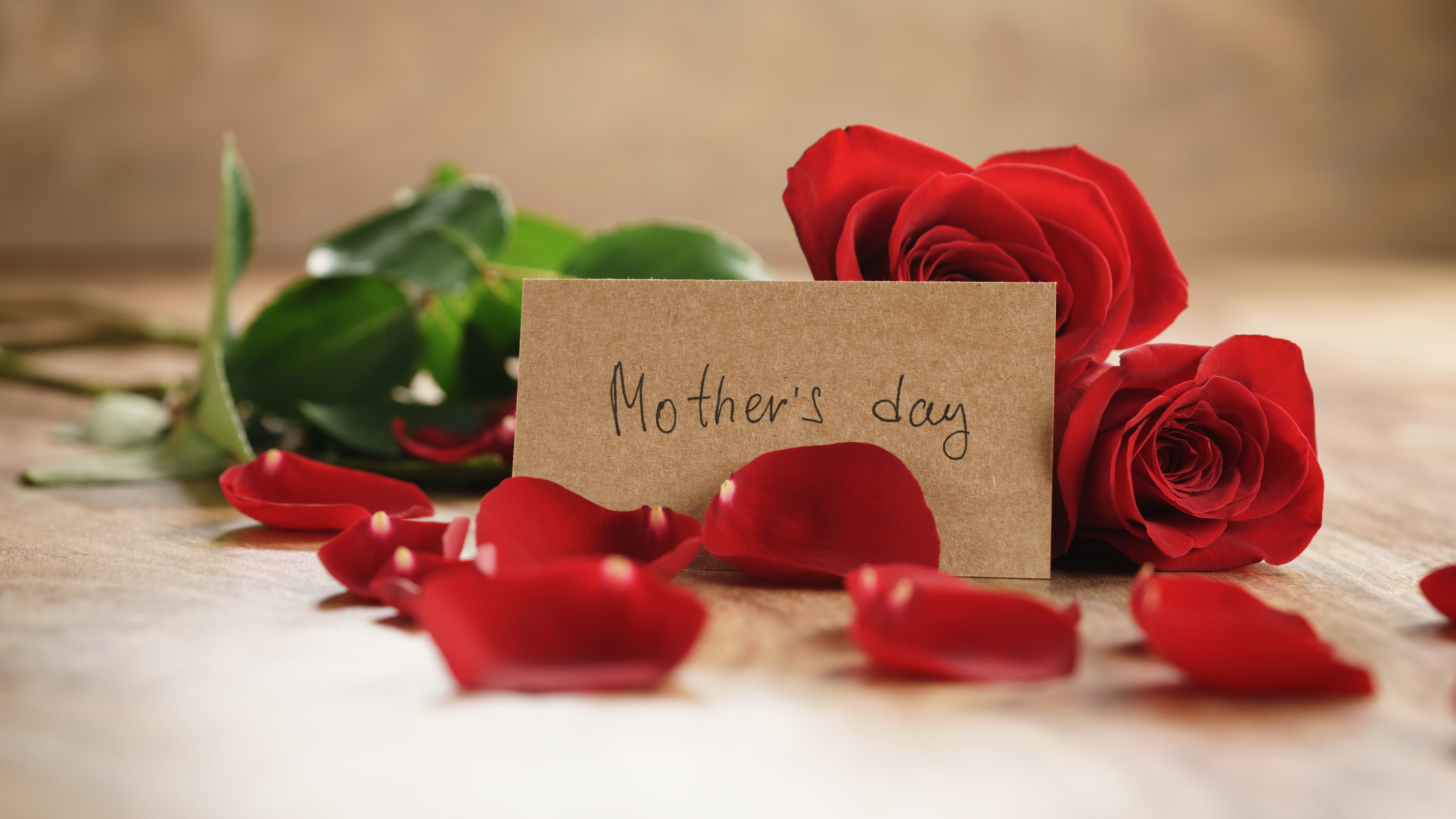 1529004壁紙のダウンロードホリデー, 母の日, 花弁, 赤いバラ, 薔薇-スクリーンセーバーと写真を無料で