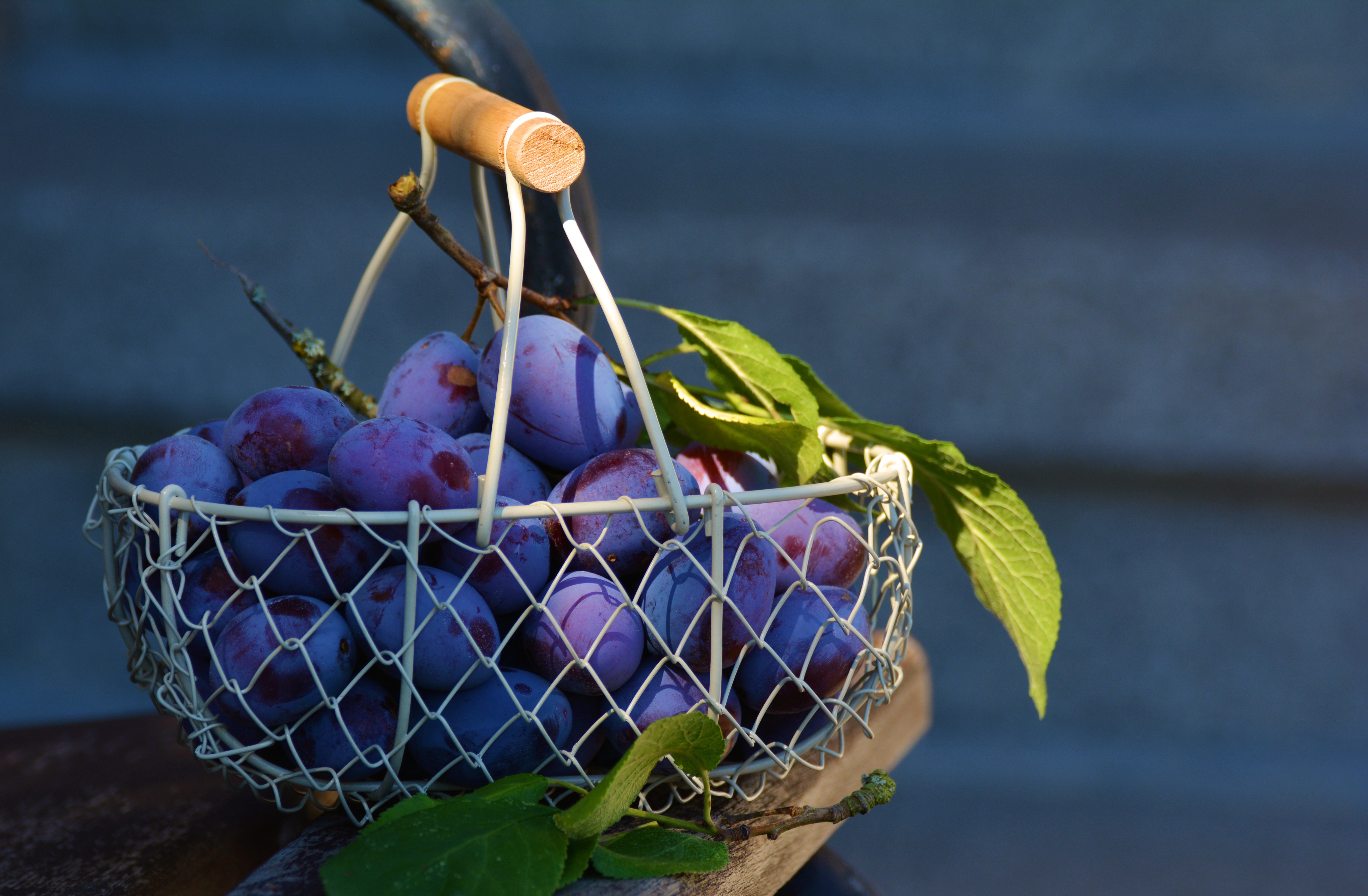 basket, food, plum, fruit