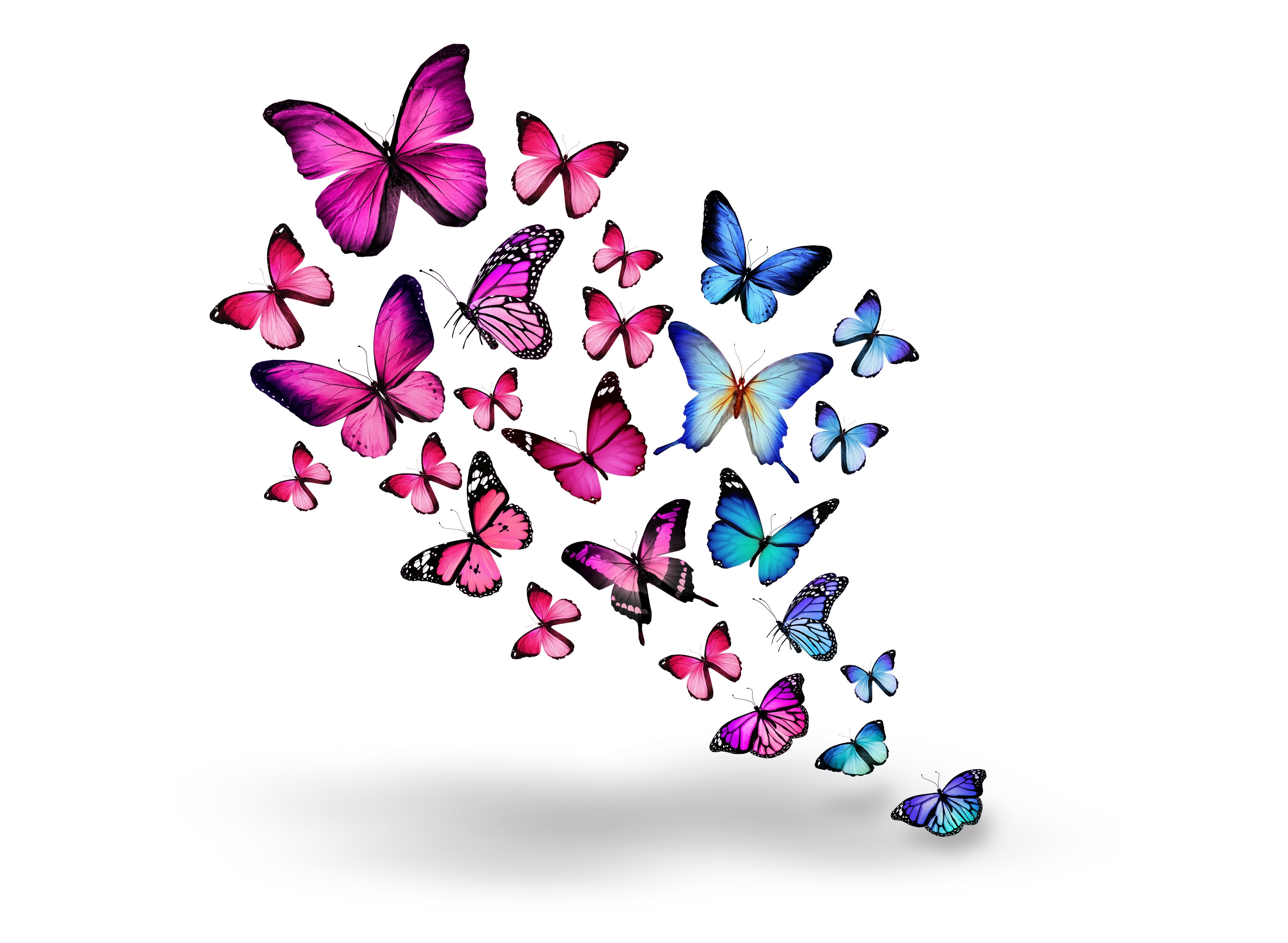 752817 завантажити шпалери метелик, художній - заставки і картинки безкоштовно