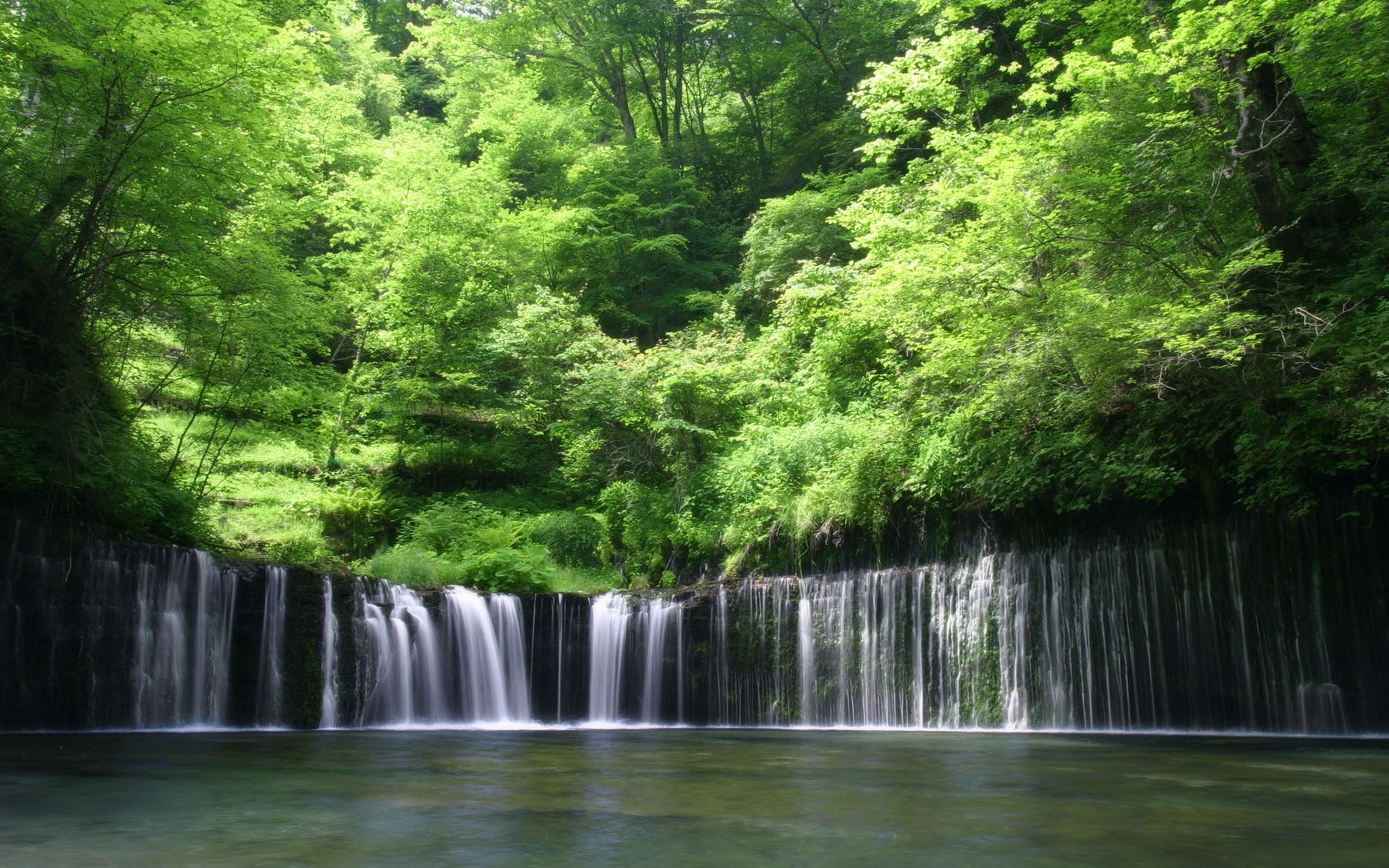 1920x1080 Background landscape, rivers, trees, waterfalls, green