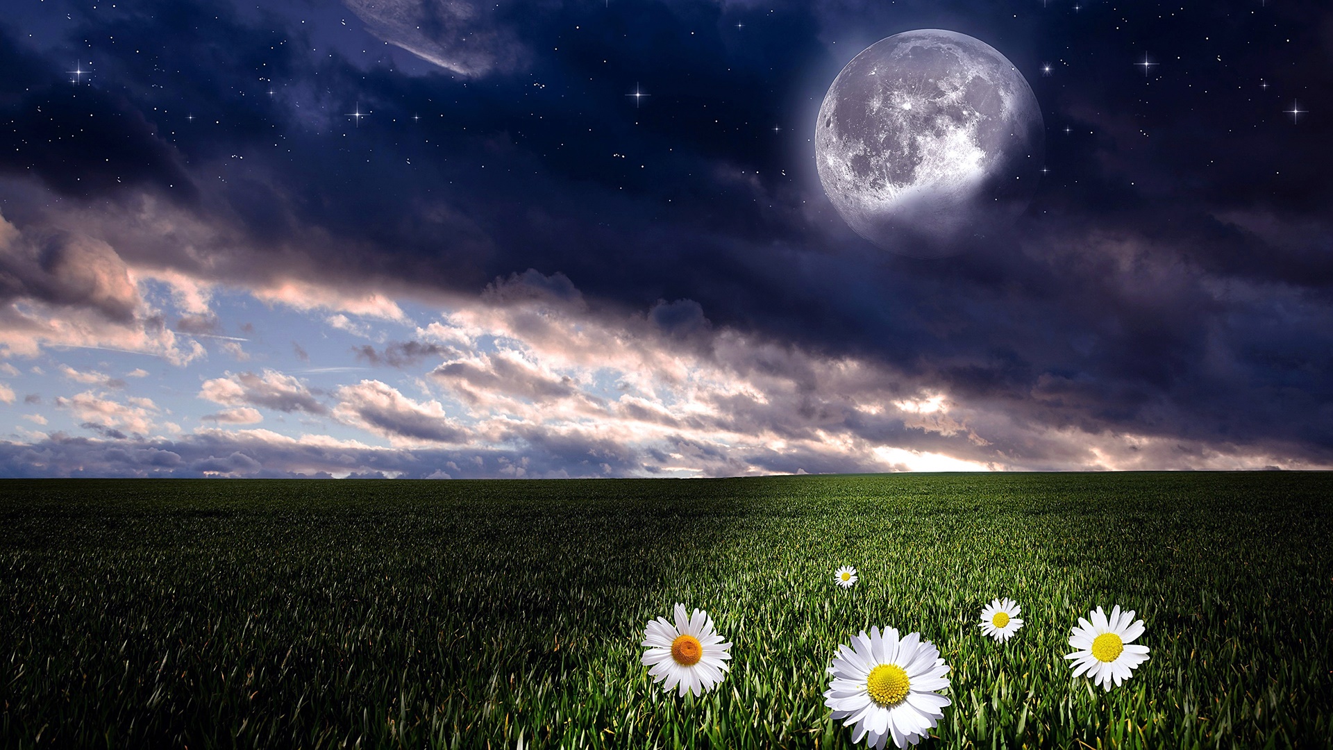 full moon, earth, moon, cloud, daisy, field, landscape