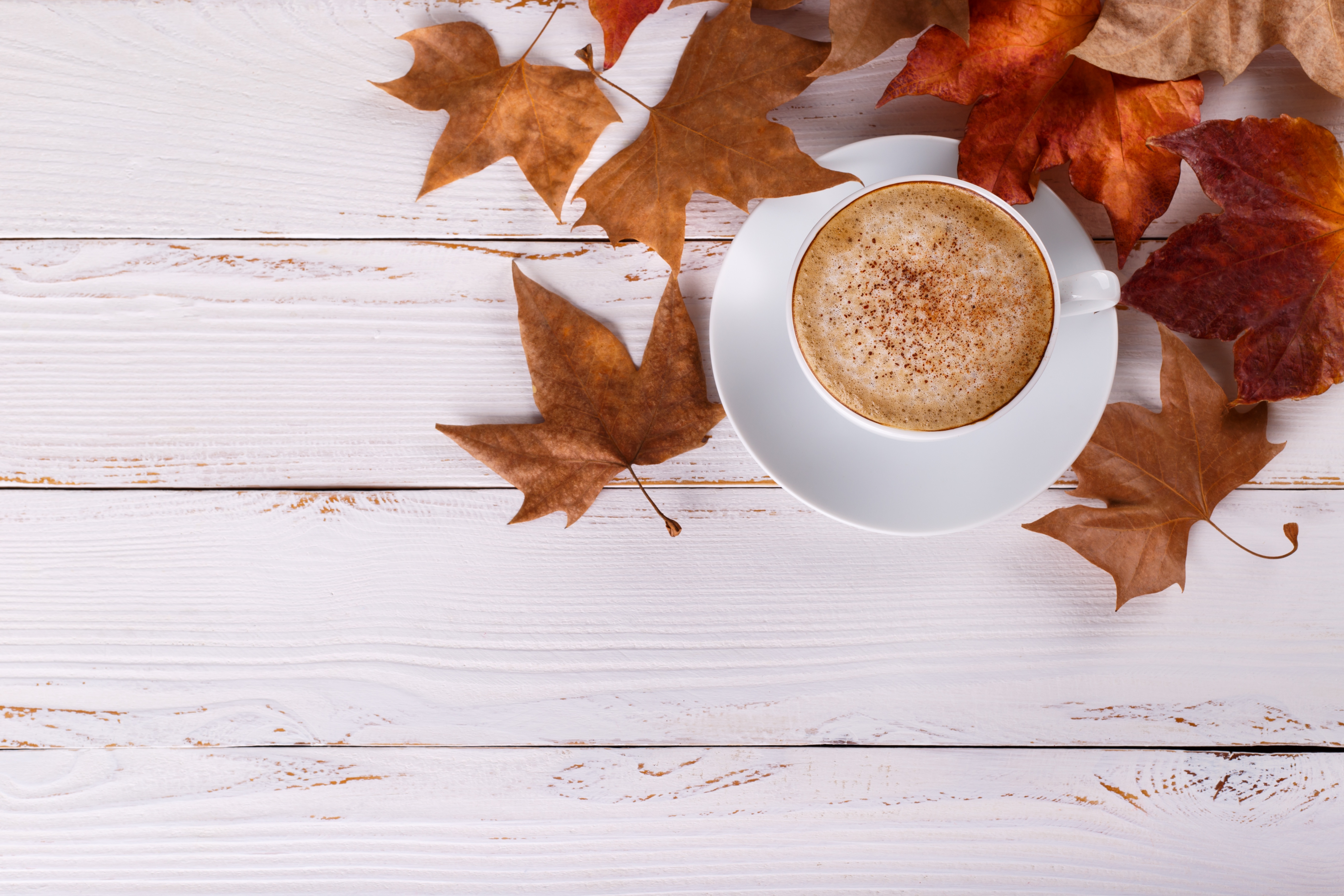 Free download wallpaper Food, Coffee, Cup, Leaf, Drink on your PC desktop
