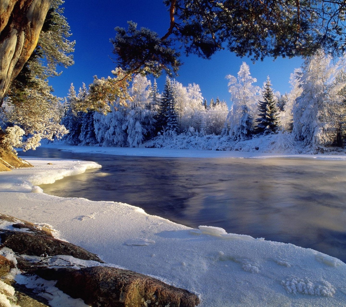 Téléchargez gratuitement l'image Hiver, Terre/nature sur le bureau de votre PC