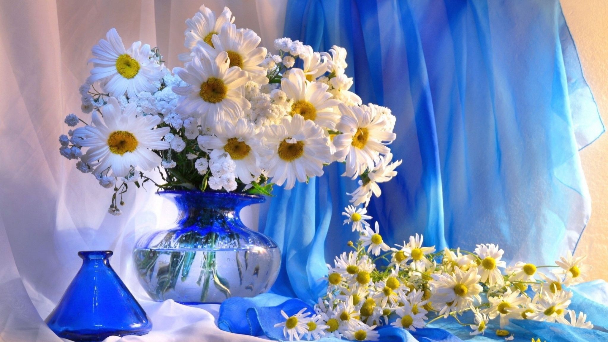 Téléchargez des papiers peints mobile Vase, Marguerite, Photographie, Fleur Blanche, Nature Morte gratuitement.