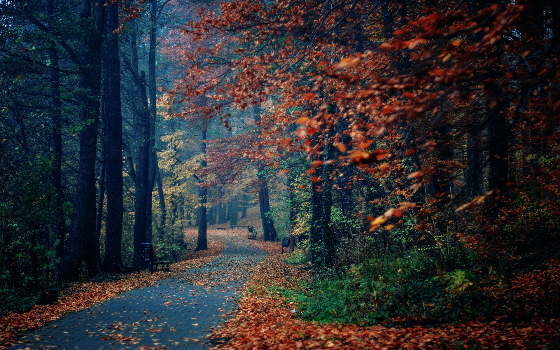 Descarga gratuita de fondo de pantalla para móvil de Parque, Fotografía.