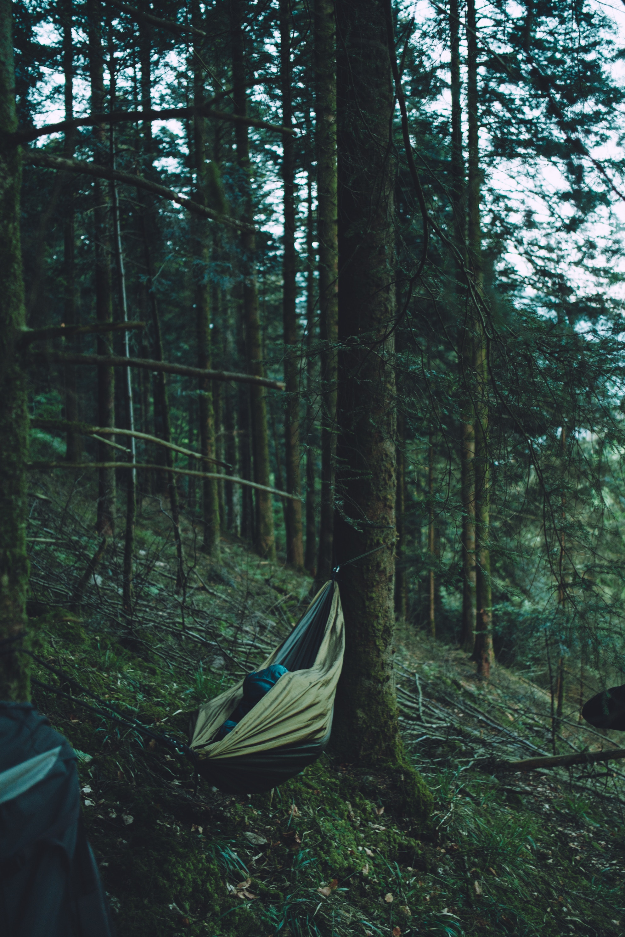 Download mobile wallpaper Hammock, Forest, Trees, Journey, Nature for free.