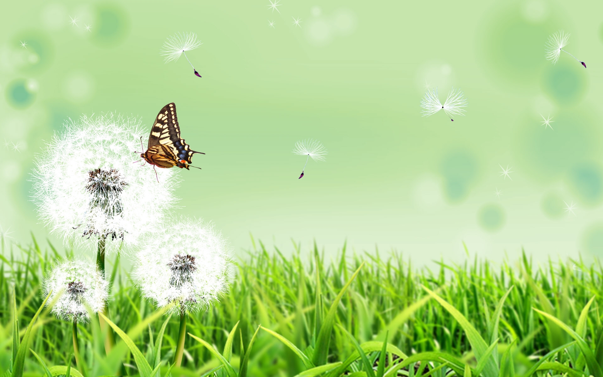 36582 завантажити картинку малюнки, метелики, комахи, зелений - шпалери і заставки безкоштовно